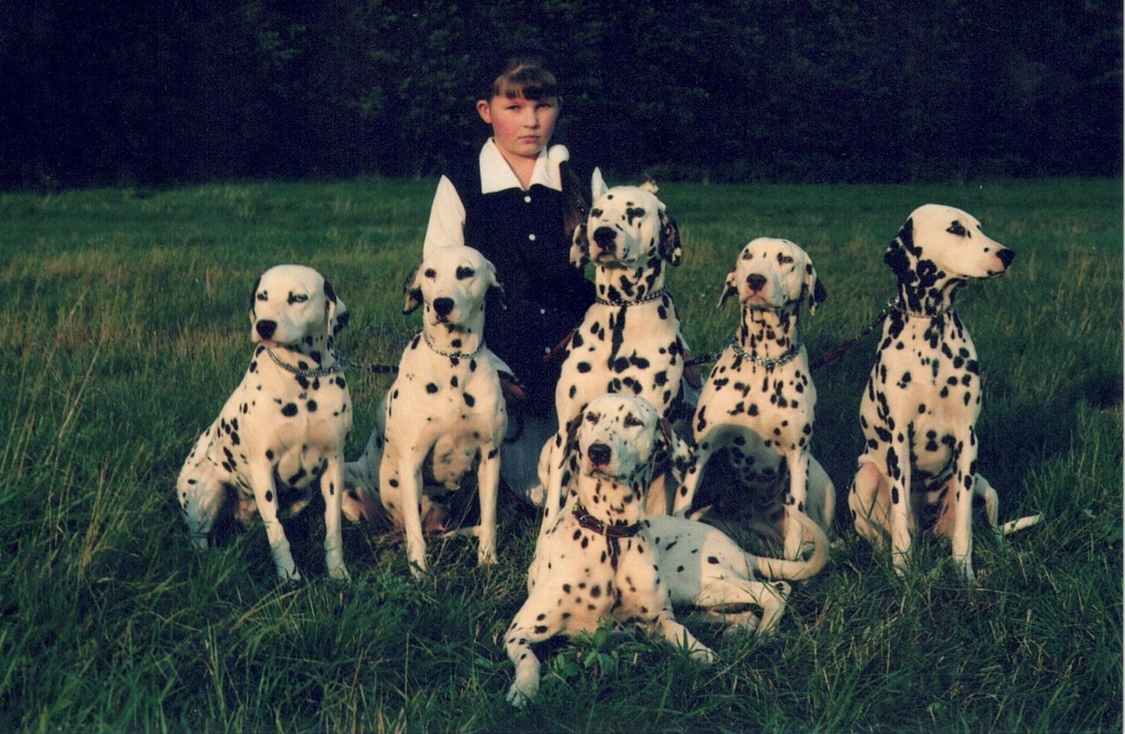 Aiste as a young child with six Dalmatians in a park sitting in front of her