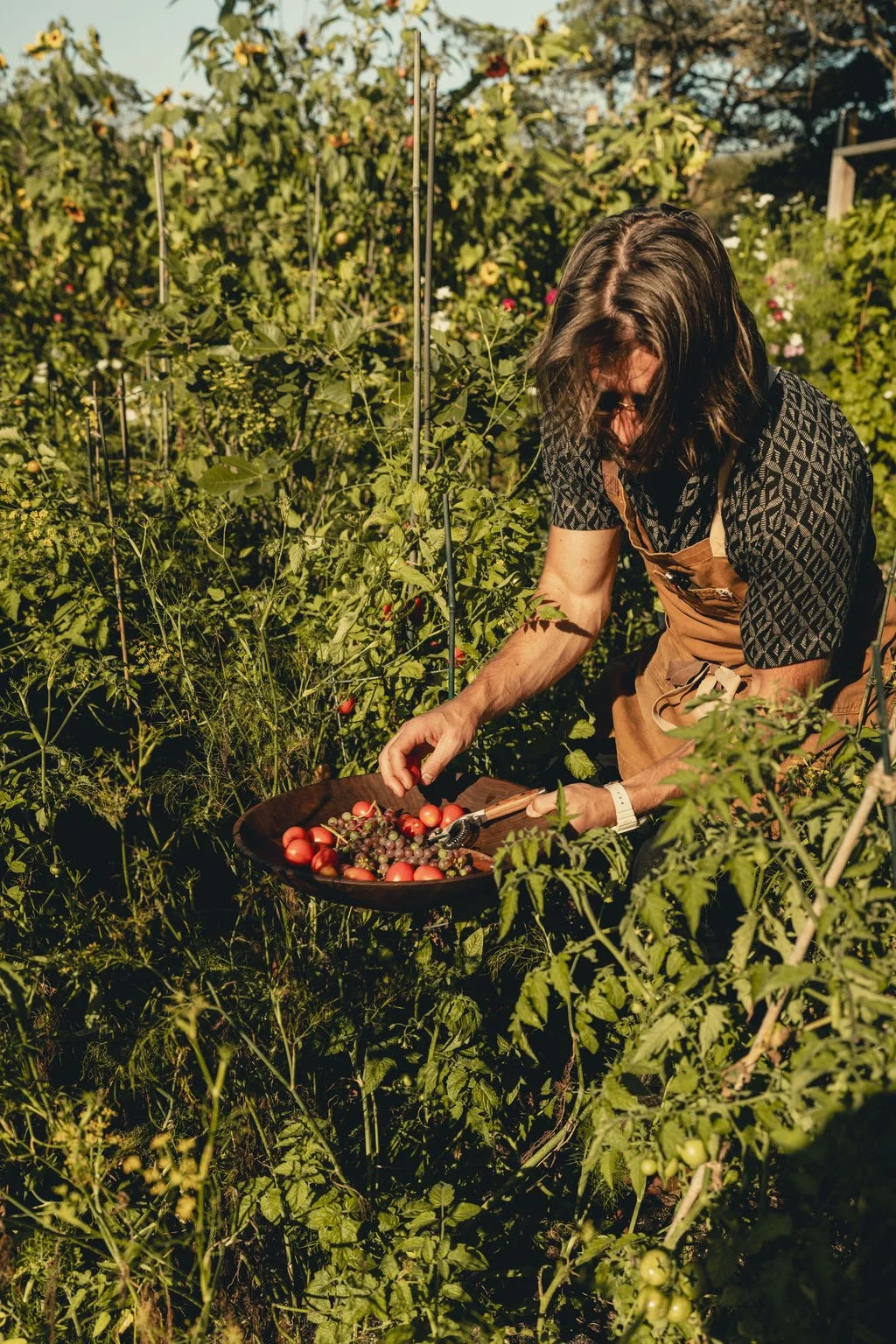Zac Hotter, chef of Ethos Wine Bar & Bistro in Downtown Nantucket, is harvesting ripe tomatoes and grapes in a lush garden to prepare a private chef dinner for clients at home in Monomoy, Nantucket.