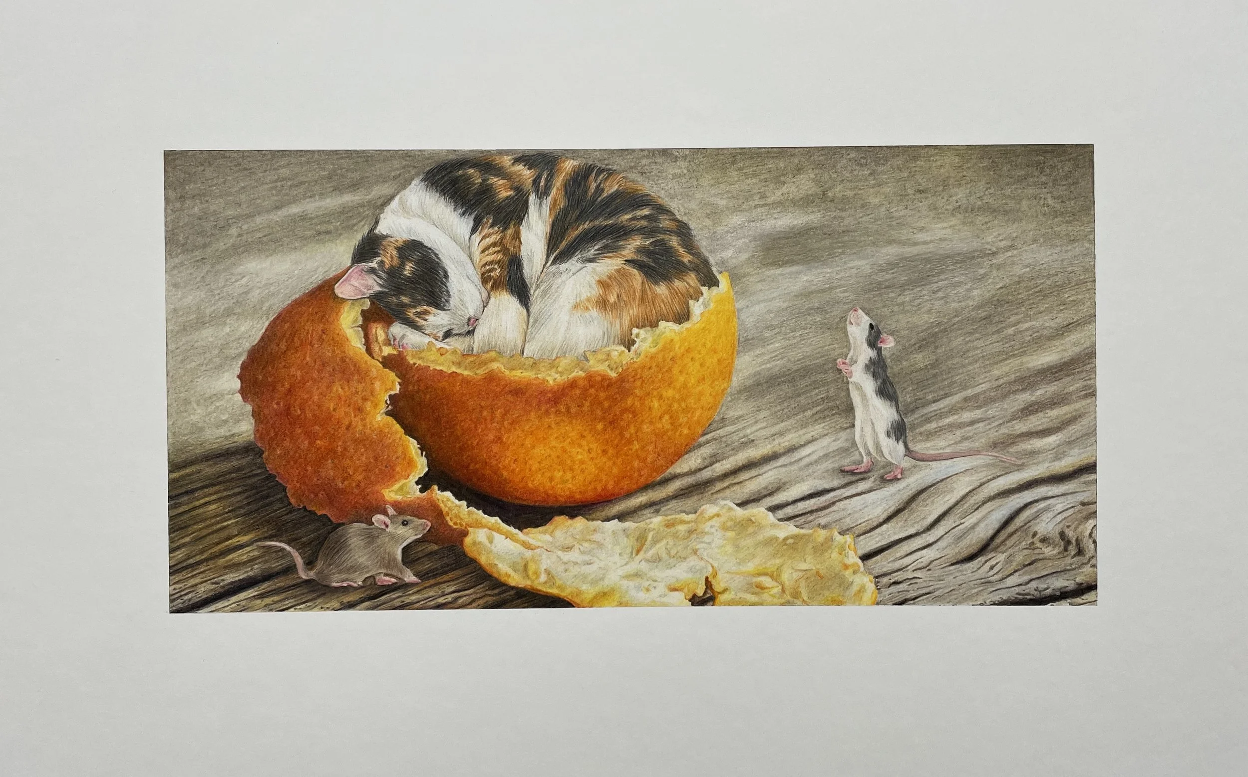 Constructed digitally from multiple images. Prisma colored pencils on Bristol board.