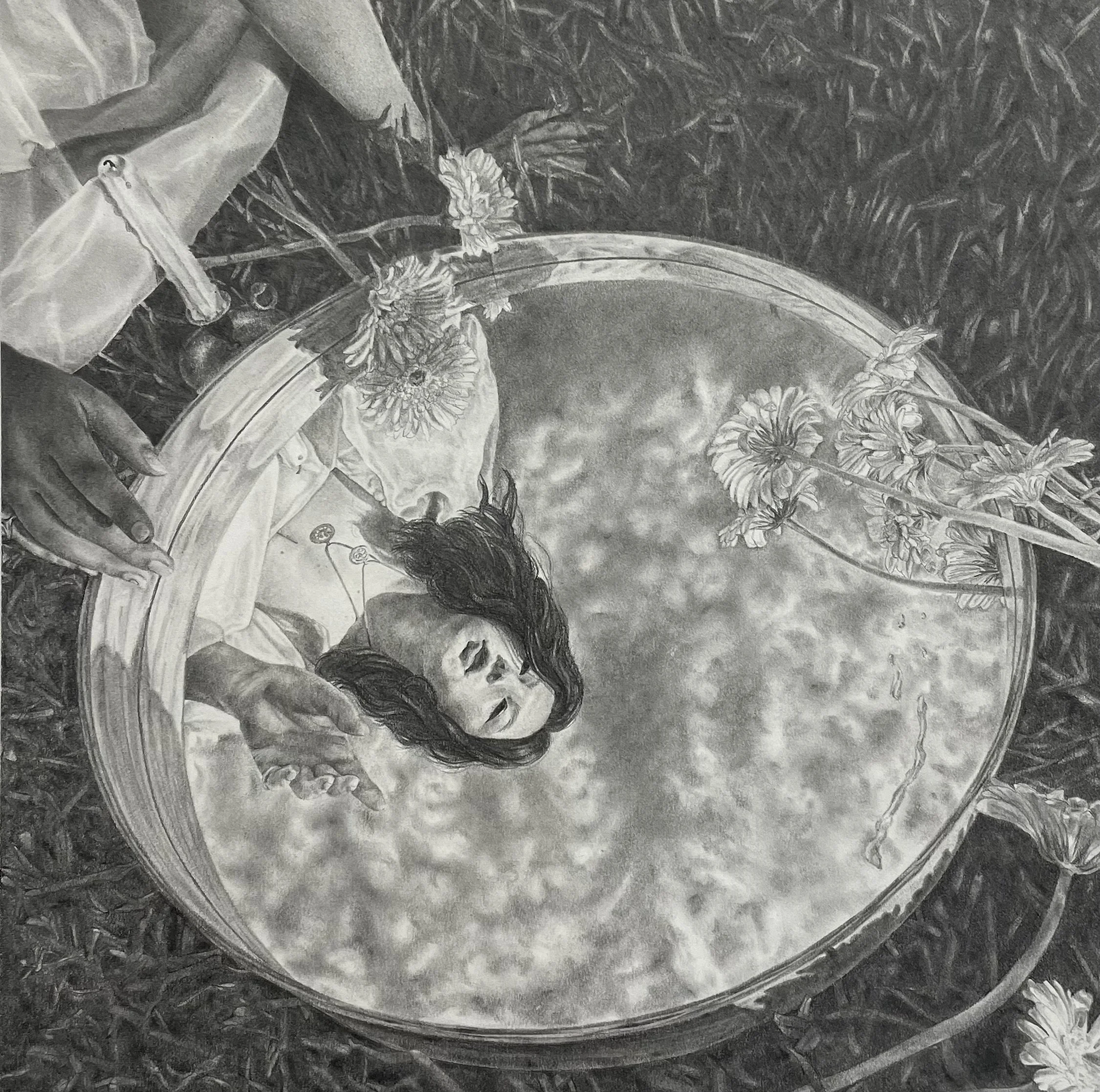 Graphite pencil and graphite powder on bristol