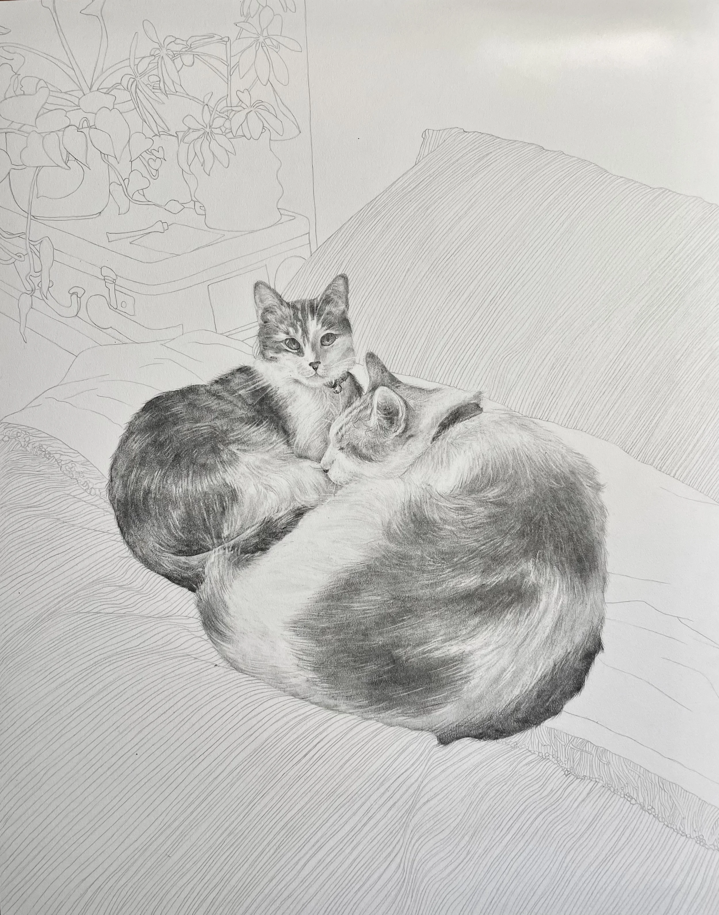 Graphite pencil and graphite powder on bristol