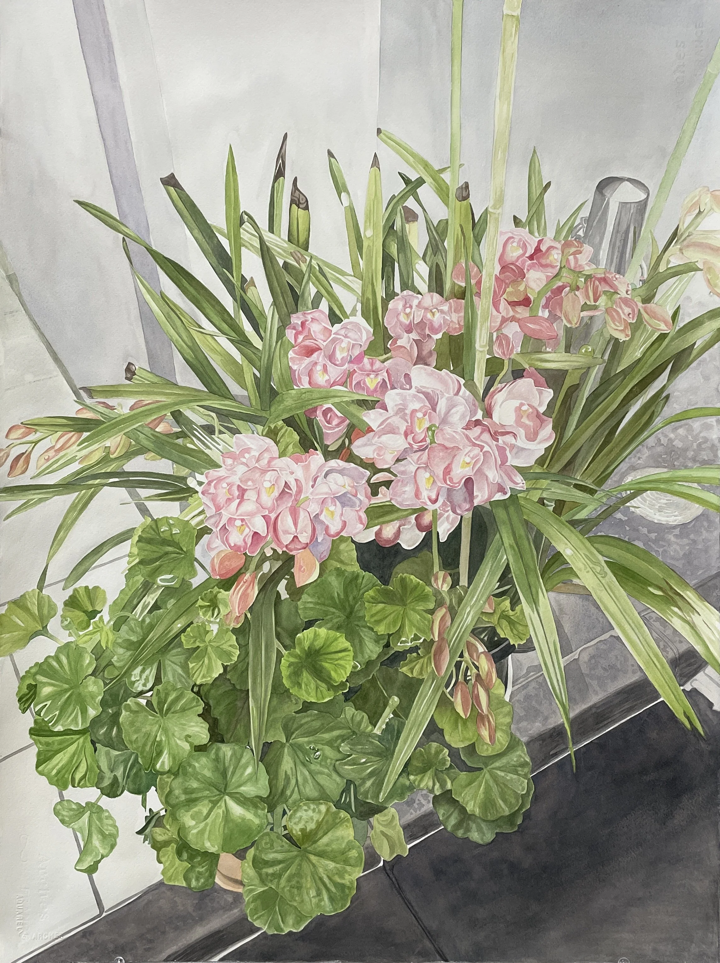 30" x 24" watercolor