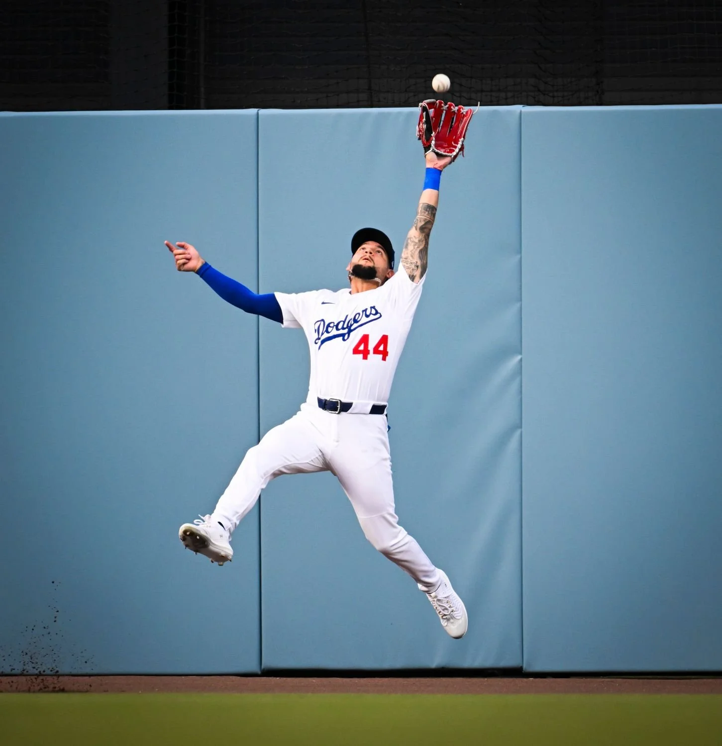 16 - Leaping Catch - d1668139-1650-43a1-9b30-29c7b0e344c9.jpg