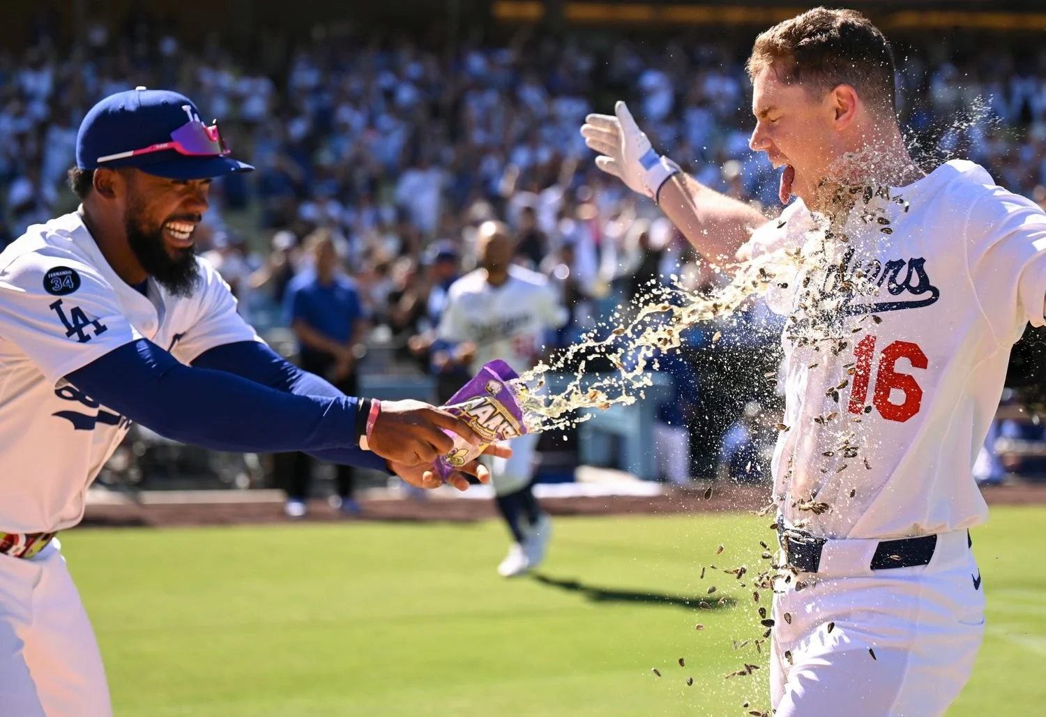 3 - Walk Off Seeds- - 0b0b3124-67e5-4755-9bc2-b8b3190d6ddc.jpg