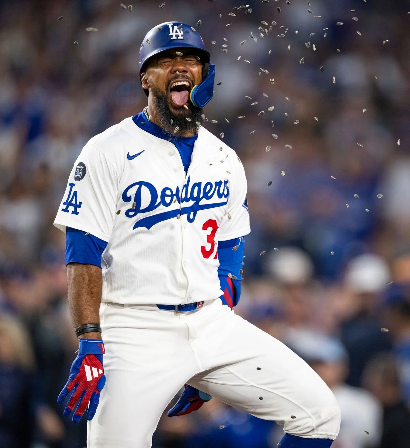 10 - Mr. Seeds- - 415f6f34-c3e4-43d1-be4e-e4adf9804e94.jpg