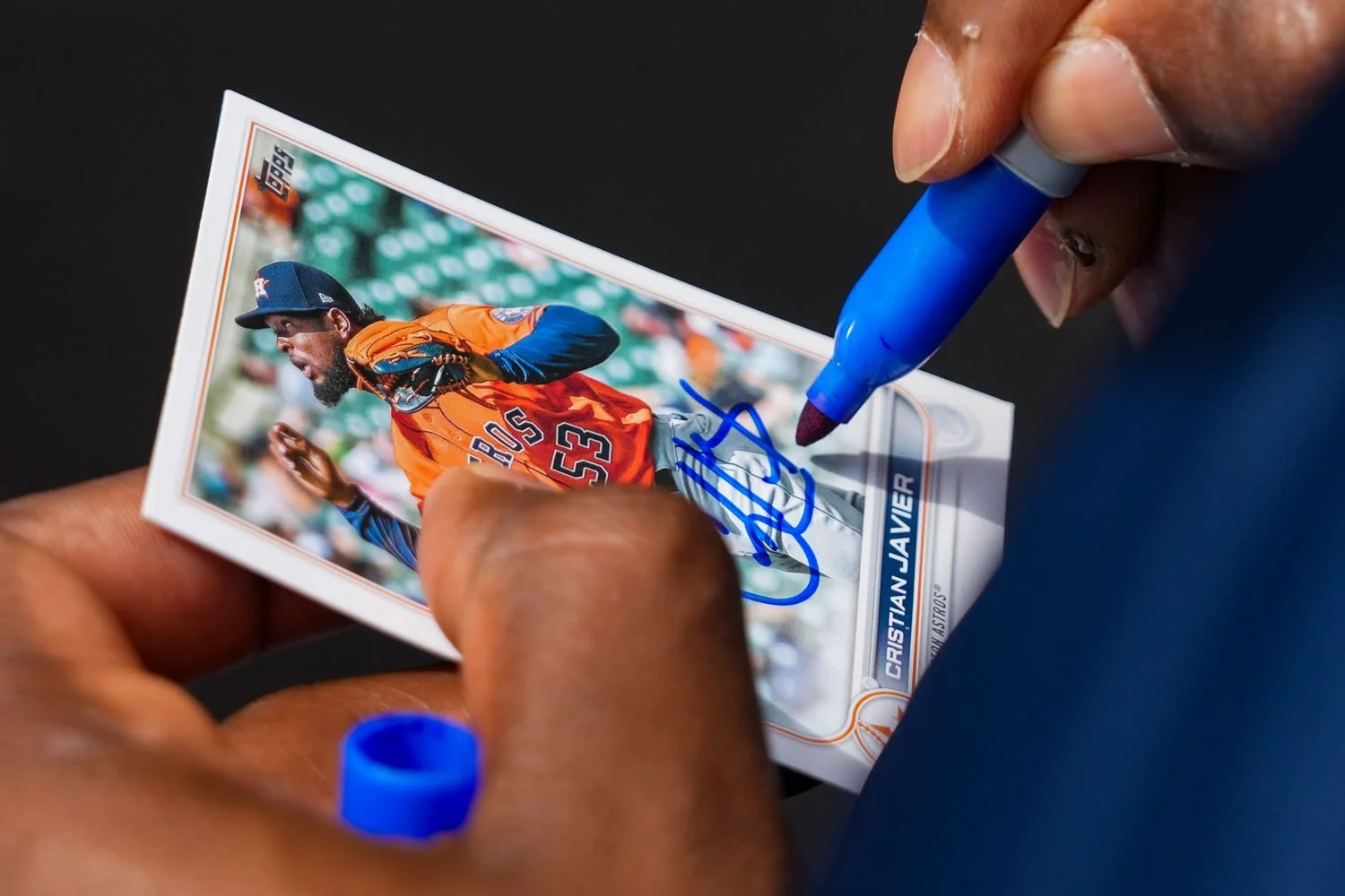 15 - Prize possession  - 138b0ae4-438f-4430-9bda-991214e4f24f.jpg