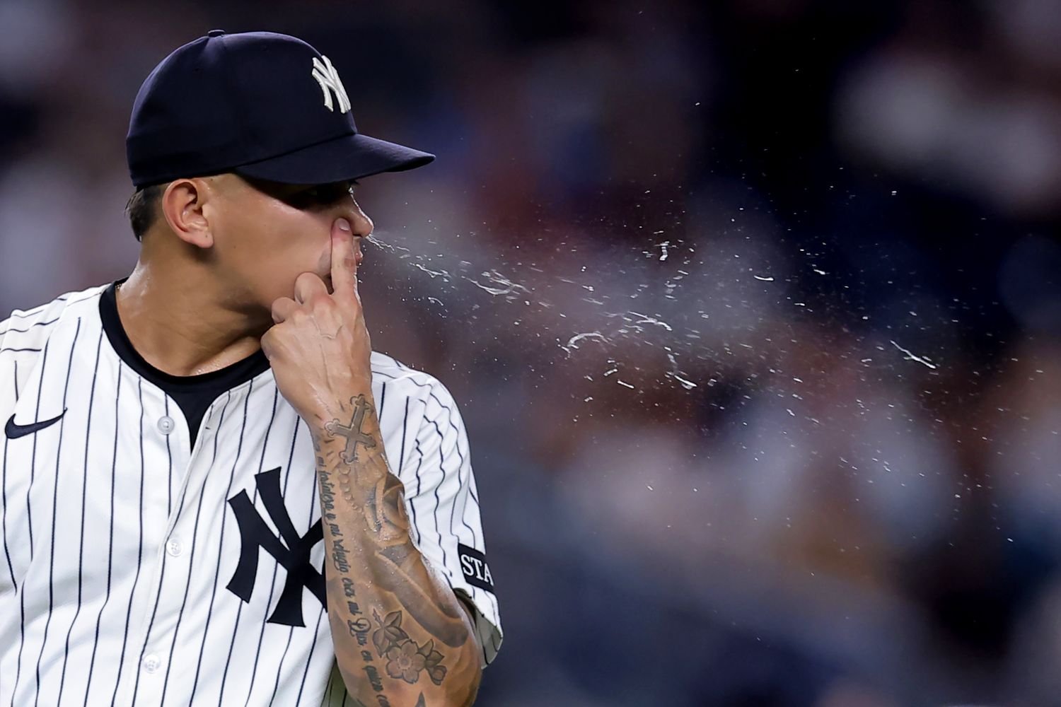 15 -  - 398029db-bdff-4766-9d88-a9d8194697e4.jpg