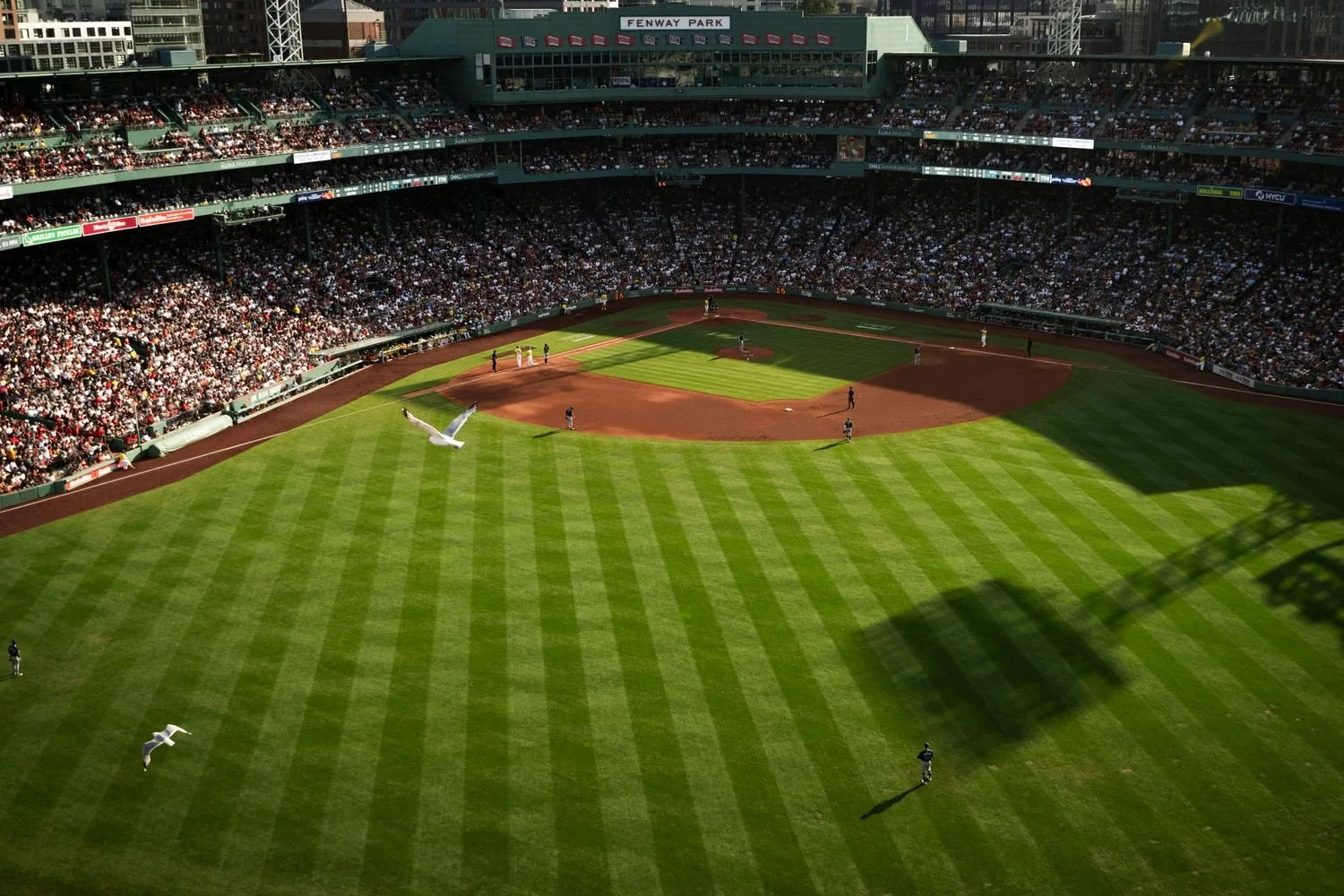 10 - 20250712_RO_TAM_051 (1) - f2f5f220-5c3b-43a9-afdb-a0d0eb691b2d.jpg