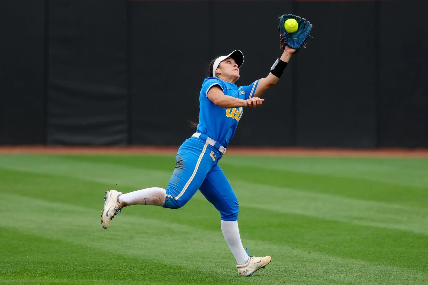 5 -  - d337dbd2-4f81-45dc-80e7-e8e882694681.jpg