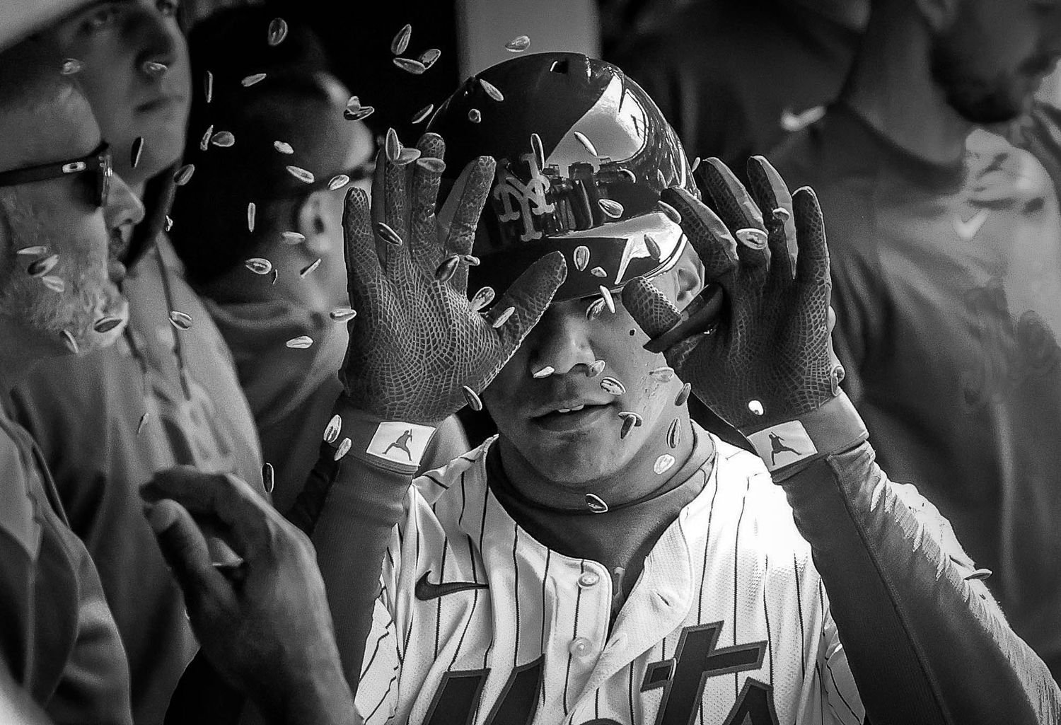 7 - Soto-s Seeds - be19f189-33be-4b45-905f-7587e85ba8c4.jpg