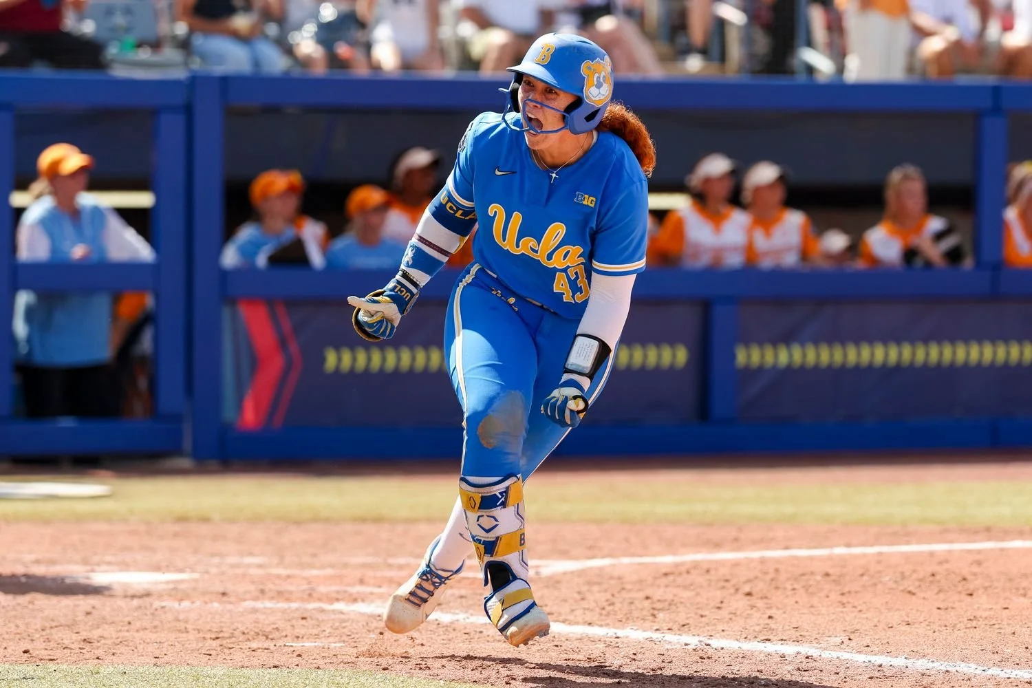 20 -  - 808ca780-7a76-465a-9b95-ff53b86389a2.jpg