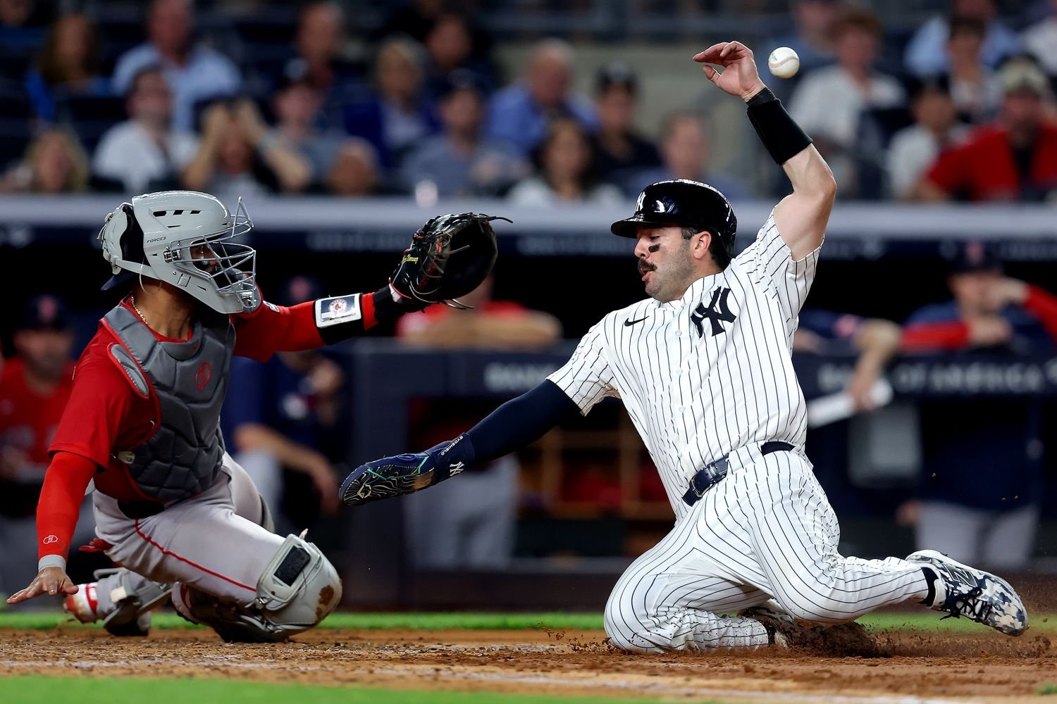 1 -  - b75cc142-0cf2-407f-b303-6e0d72b2309c.jpg