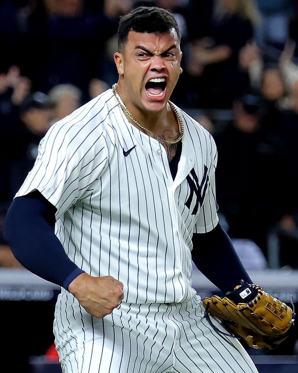 14 -  - 5f876a74-6e22-4c02-93db-a123063c5b0b.jpg