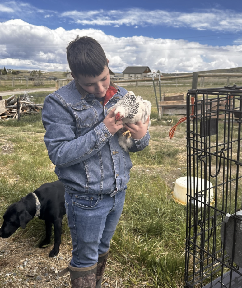 Fin working at properly taking a bird in and out of cage for showmanship at fair