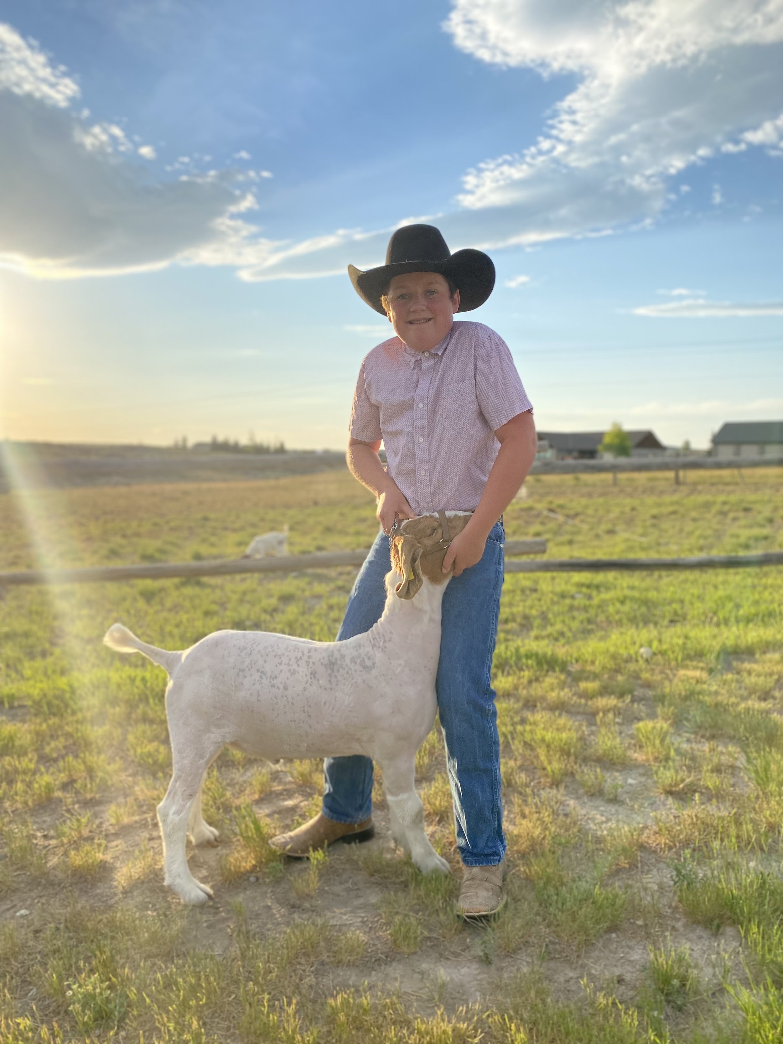 Raising Boer Meat Goats in Gallatin and Broadwater County #boergoatsofmontana