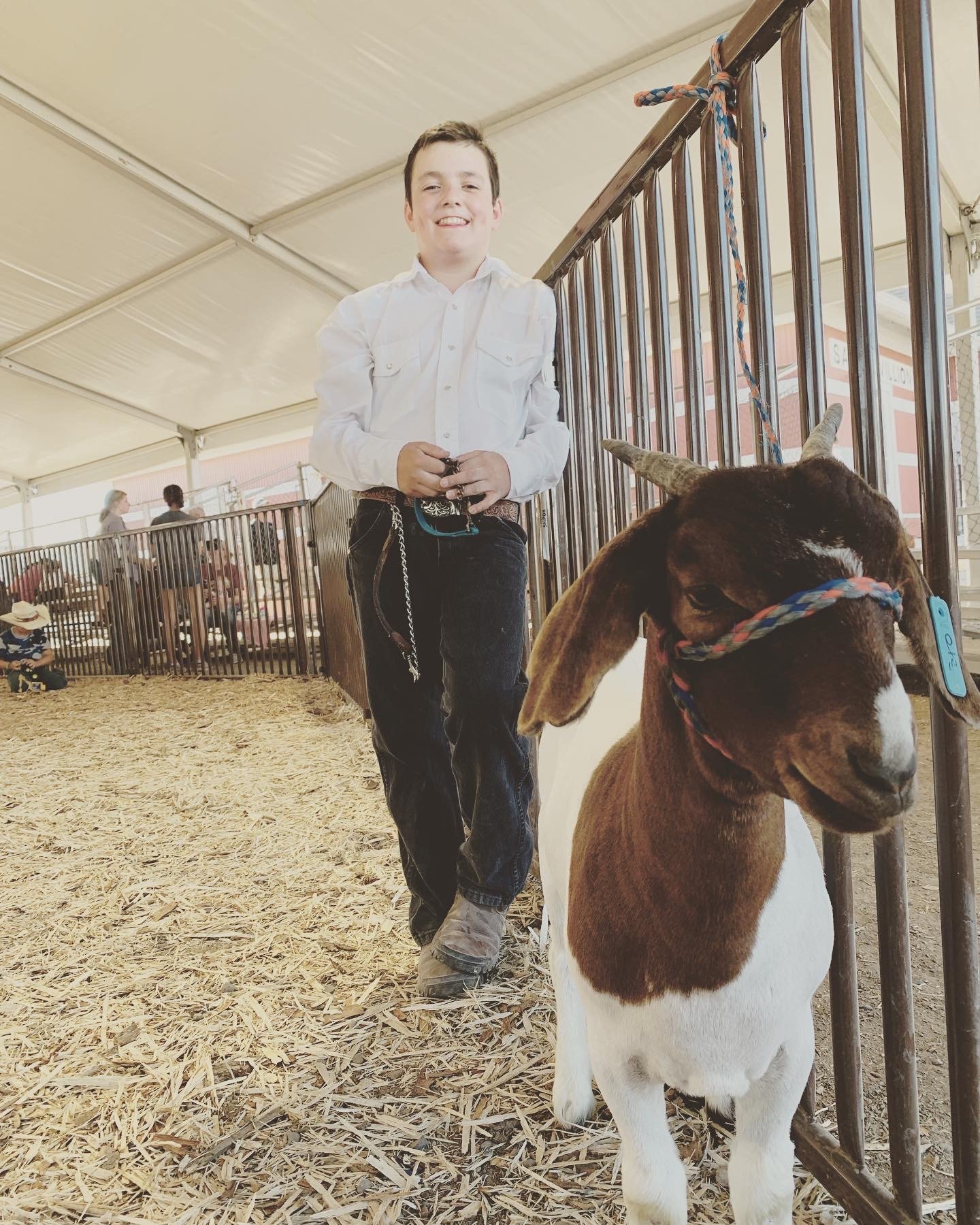 show ring of Big Sky State Fair, Boer Meat Goats in Gallatin County