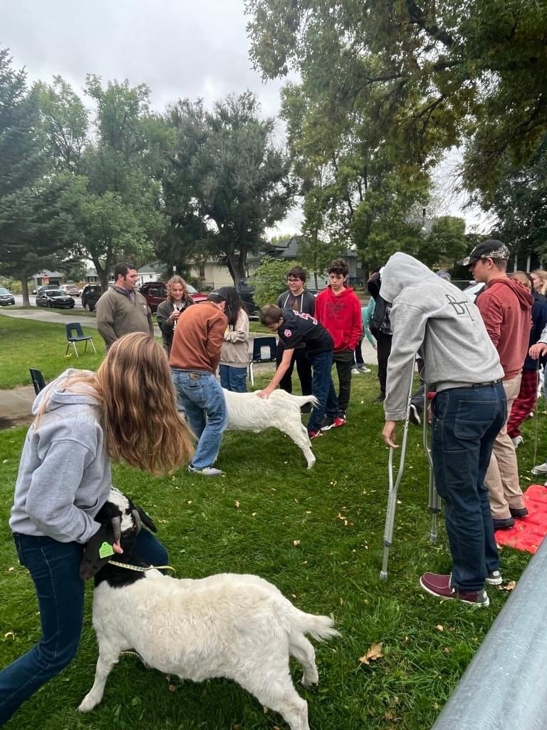 Mud Springs Ranch visit Three Forks High FFA class for a judging demonstration