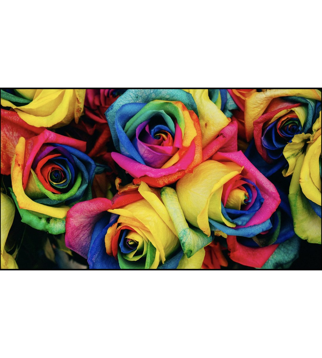 vibrant.001.jpeg