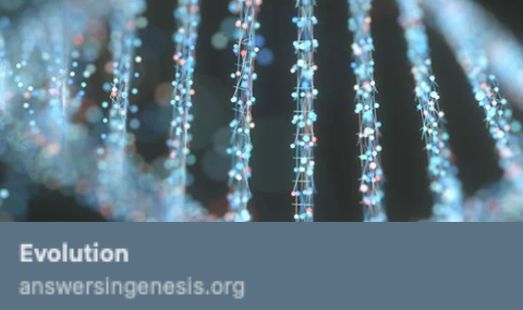 Screenshot 2026-02-26 at 3.05.13 PM.png