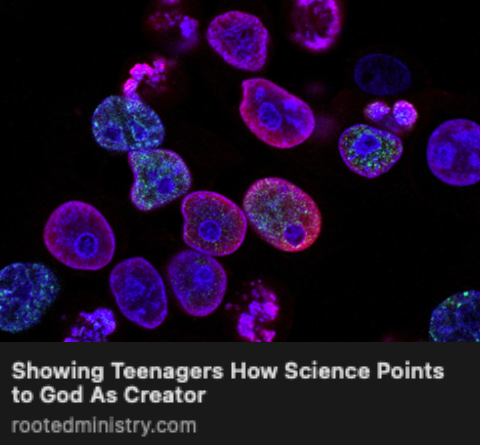 Screenshot 2026-02-26 at 3.06.31 PM.png