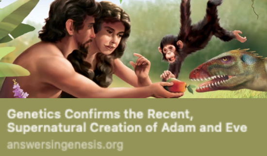 Screenshot 2026-02-26 at 3.19.03 PM.png