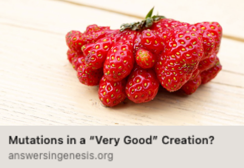 Screenshot 2026-02-26 at 3.24.44 PM.png