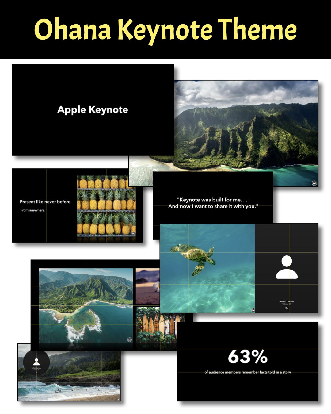 email bundle promo.002.jpeg