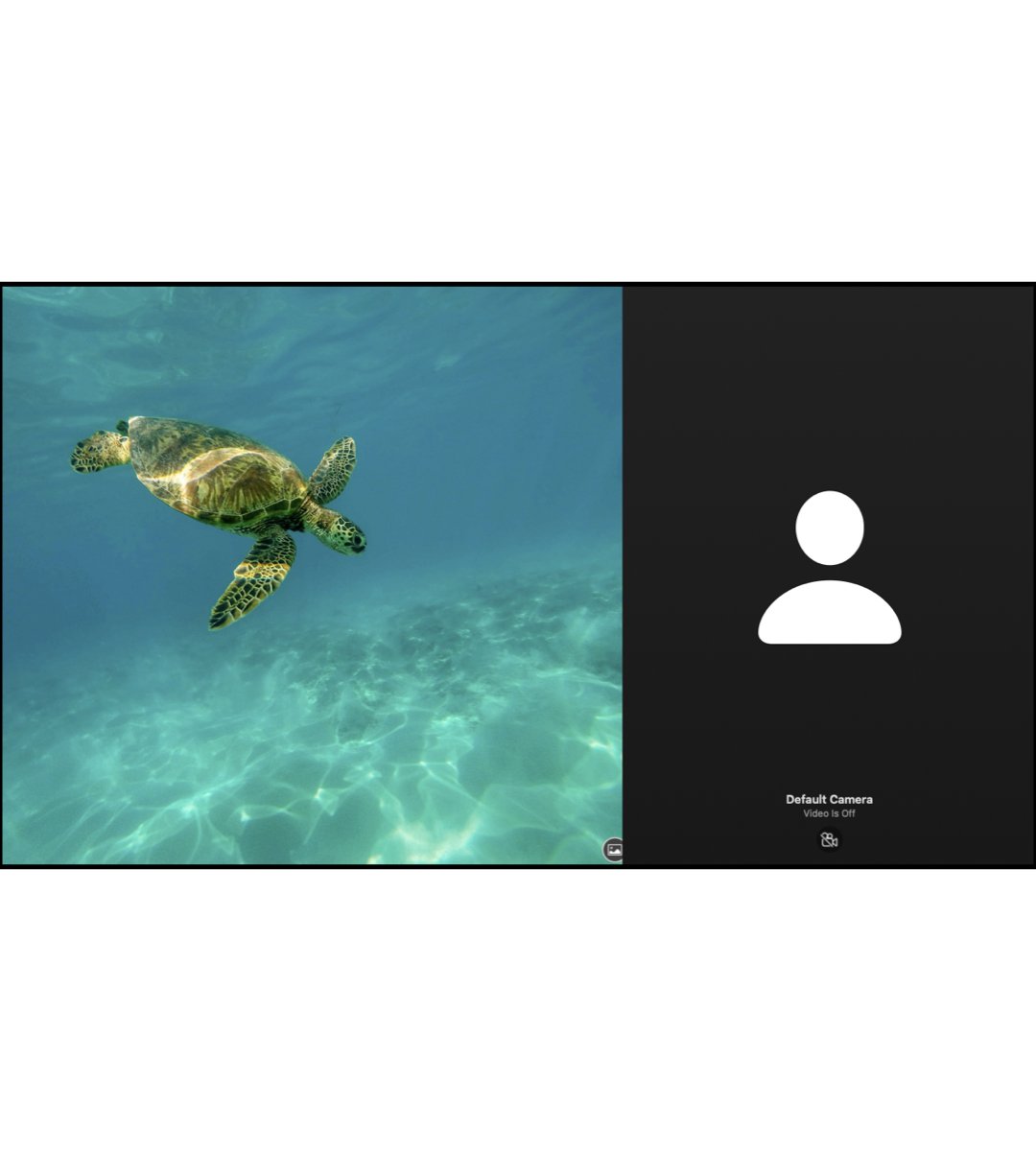 ohana_squarespace.007.jpeg