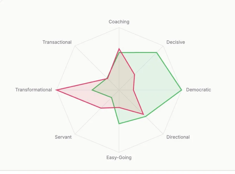 spider diagram of organizational culture