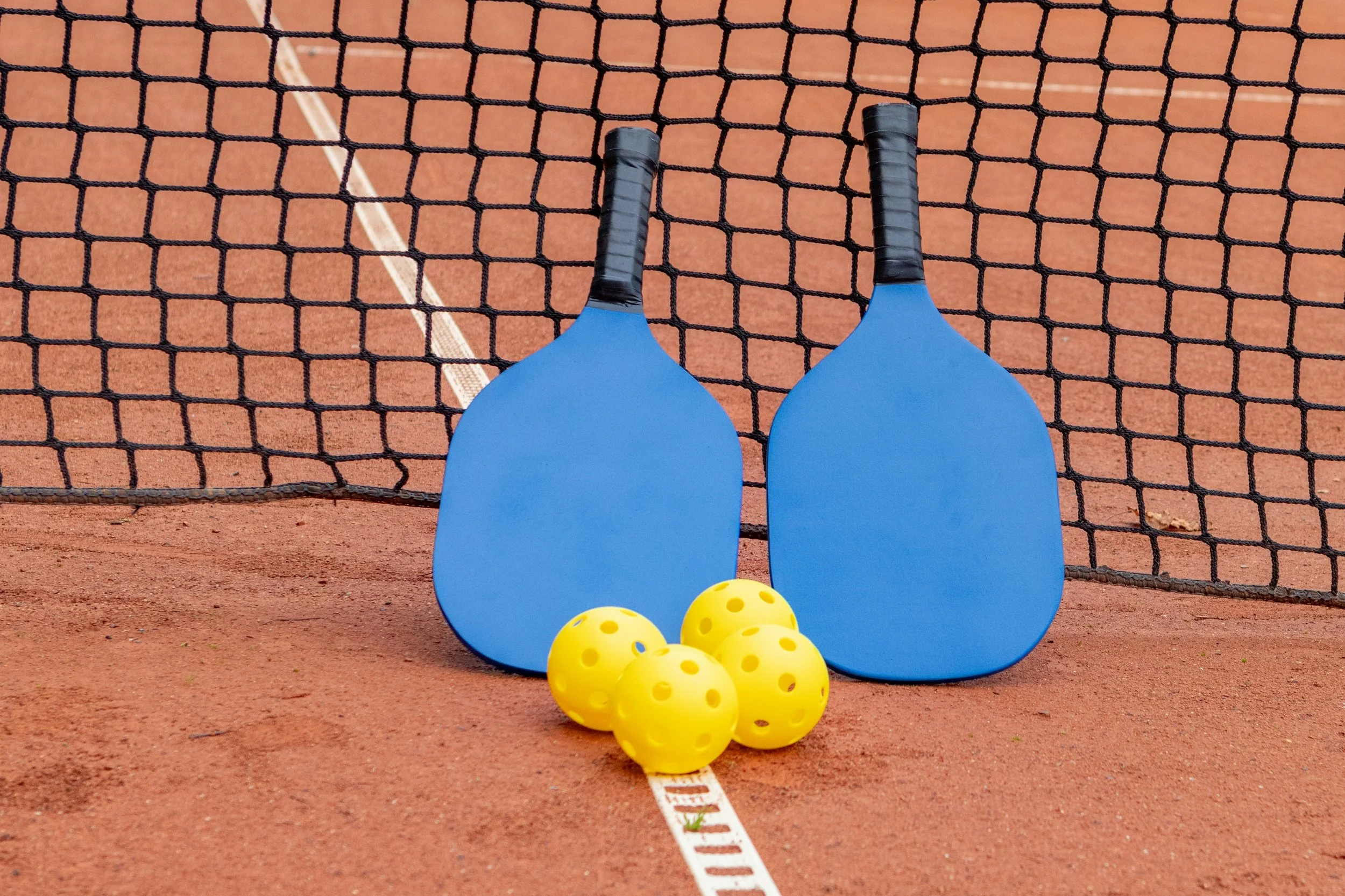 Inaugural For the Future Chicago Pickleball Competition!