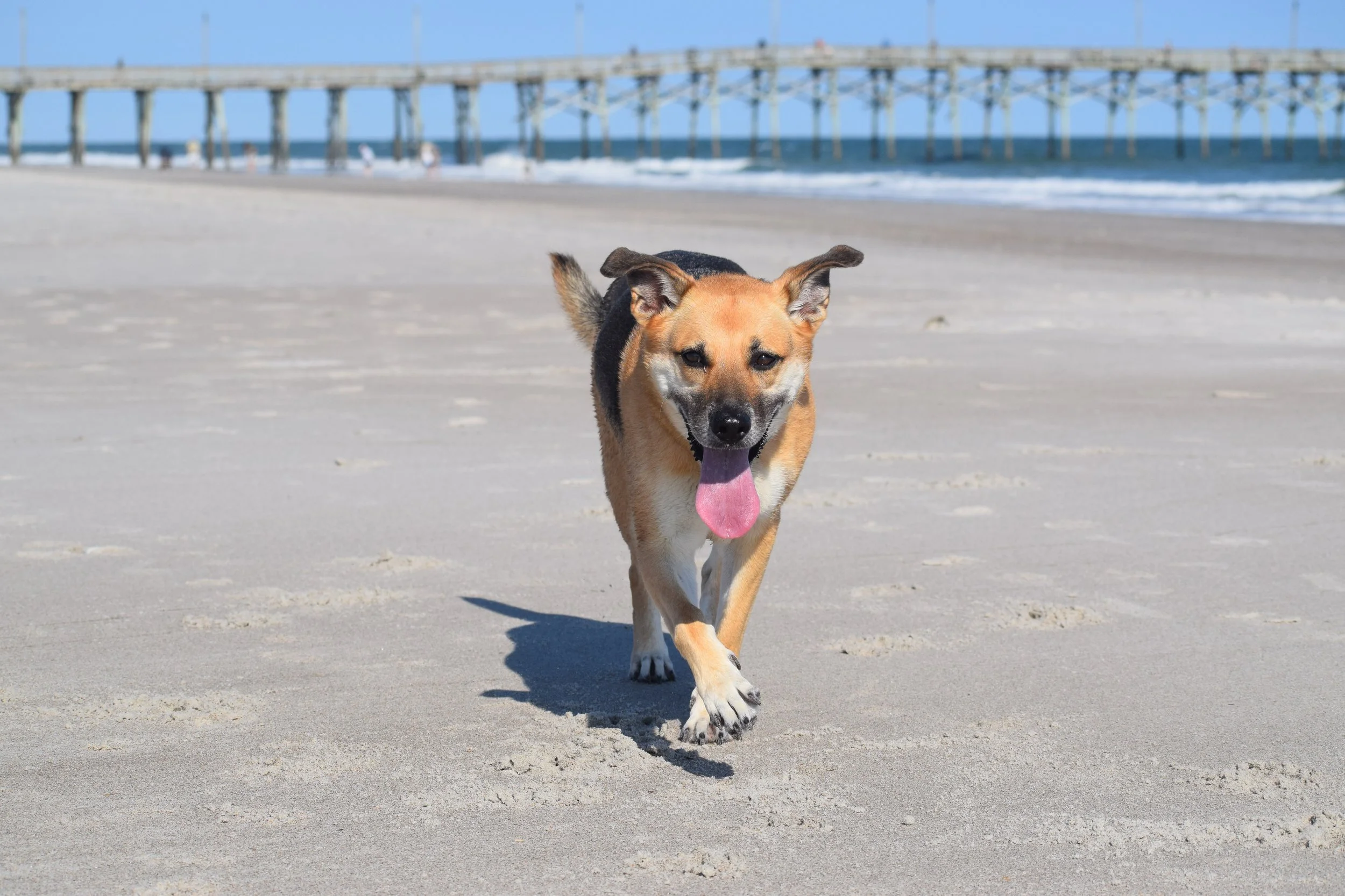 Photography in Wilmington, NC — Upper 90 Studio