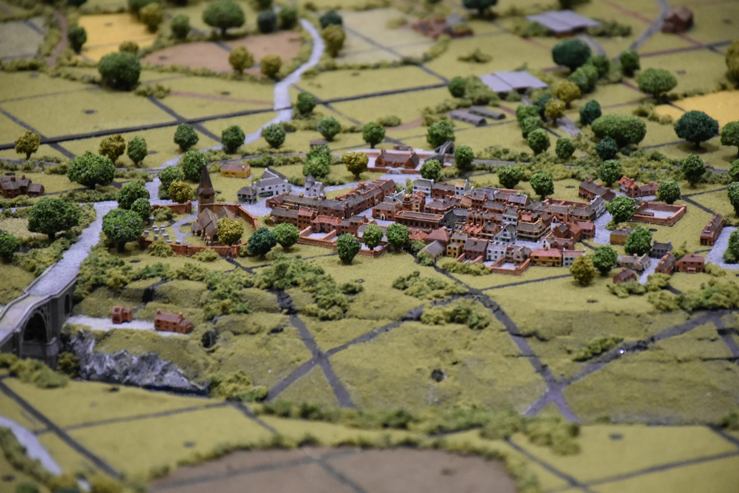 Copy of DSC_0523.JPG