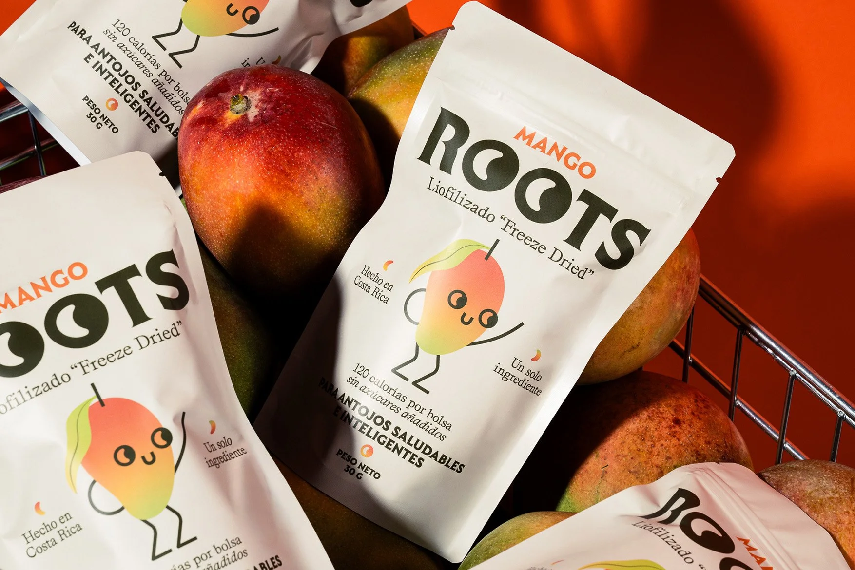 ROOTS
