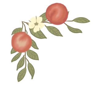 peachcornertop (1).png