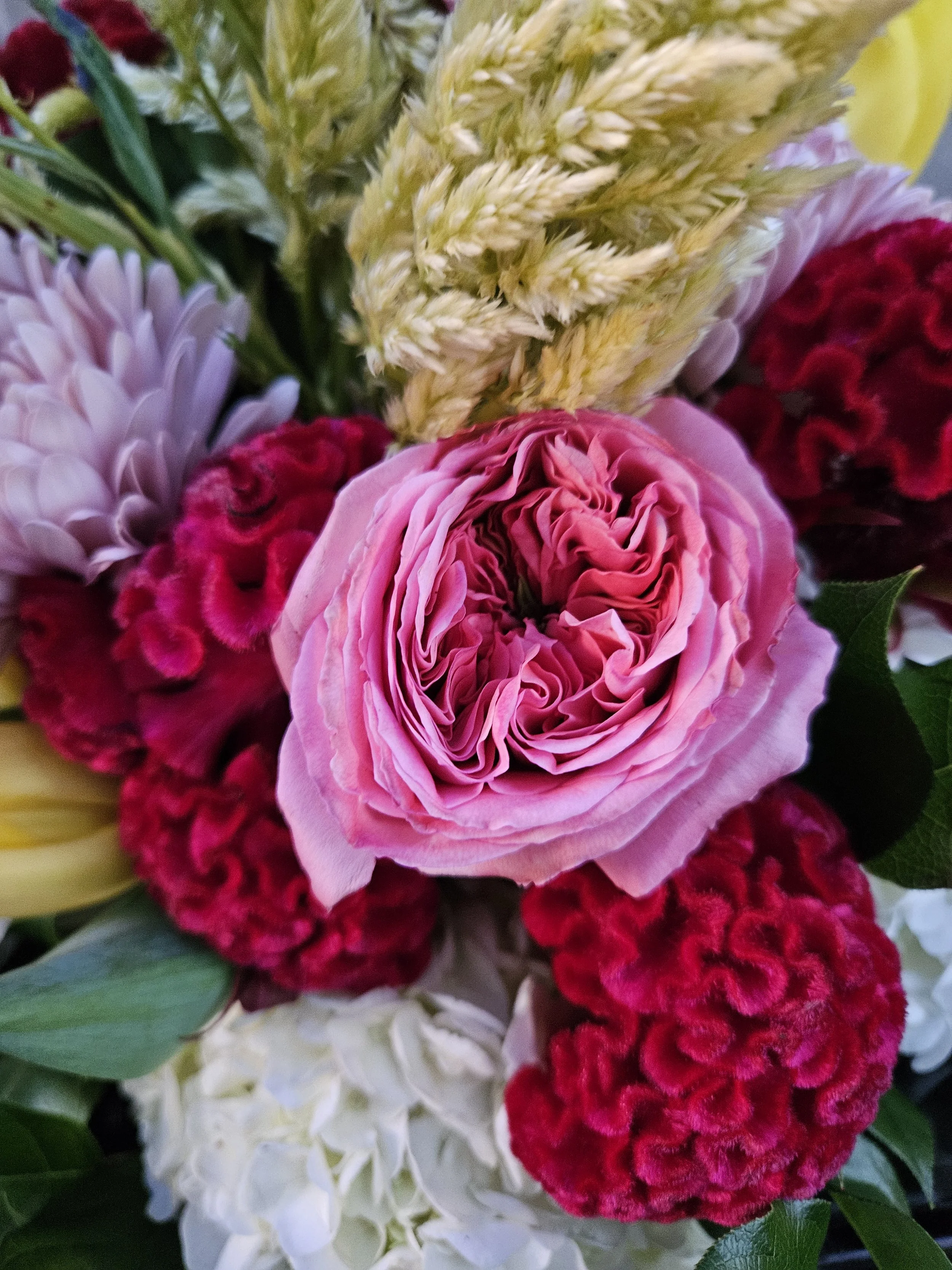 Garden roses.jpg
