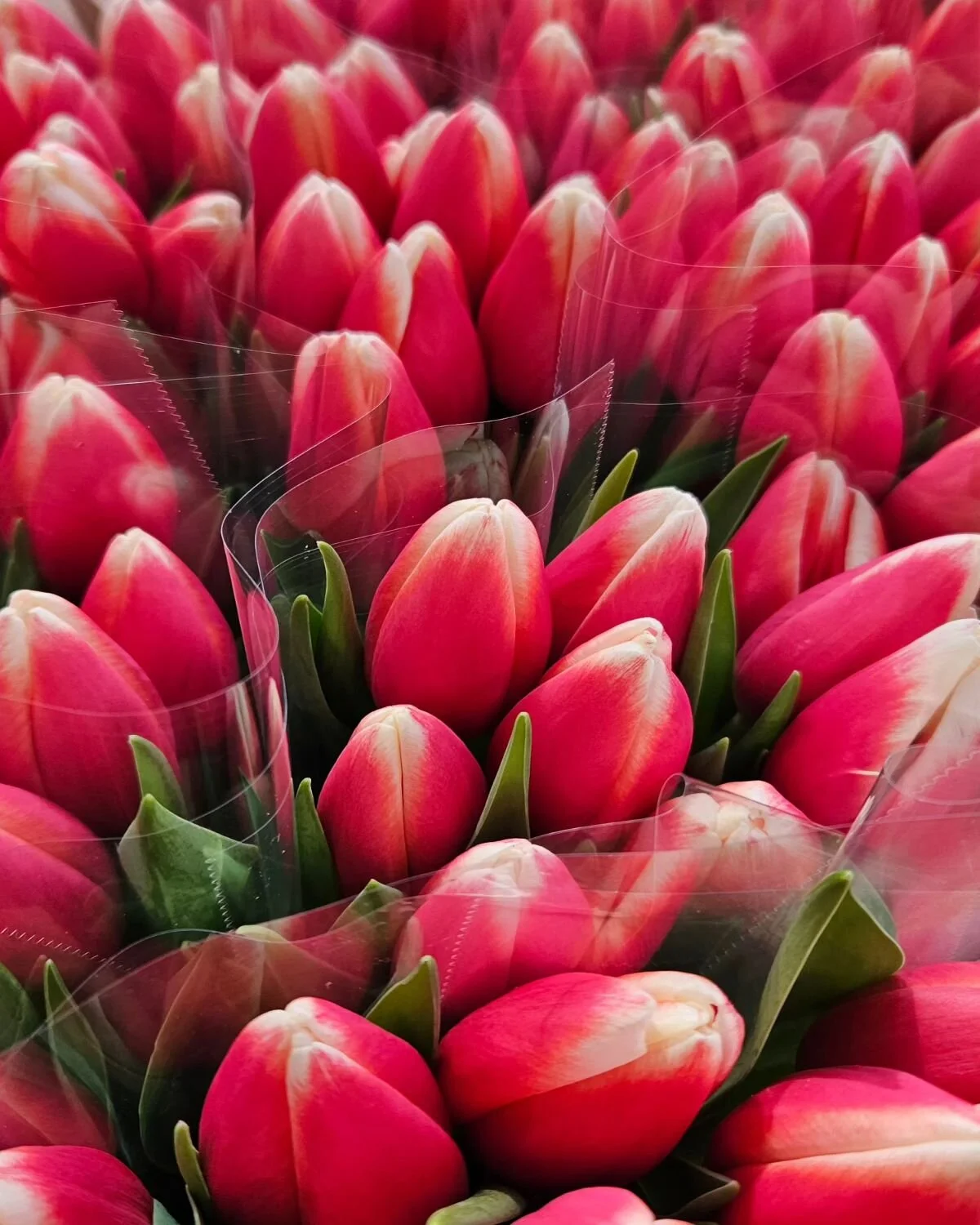 Vase Included — Brooklyn Flower Shop