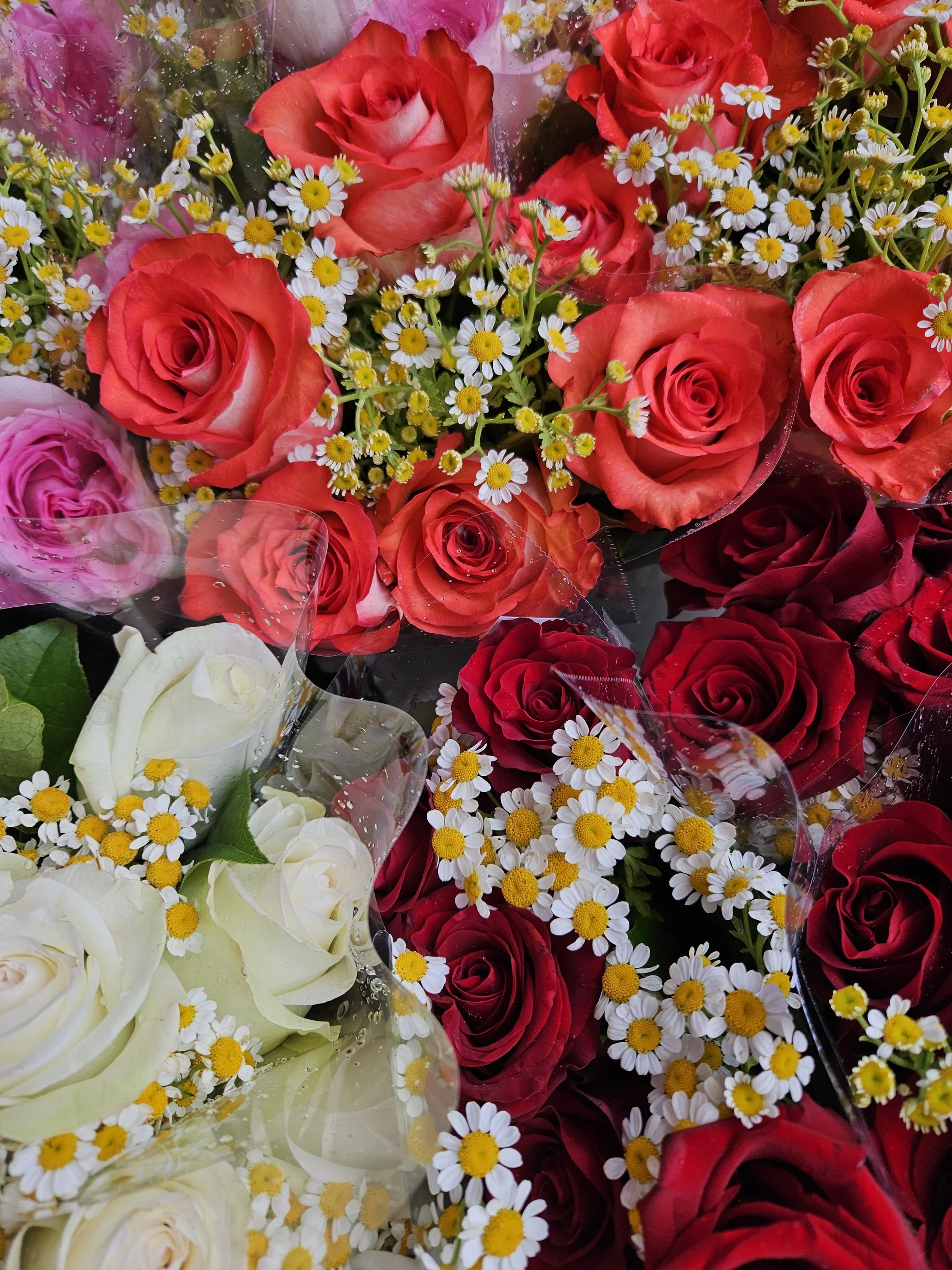 Local Flowers