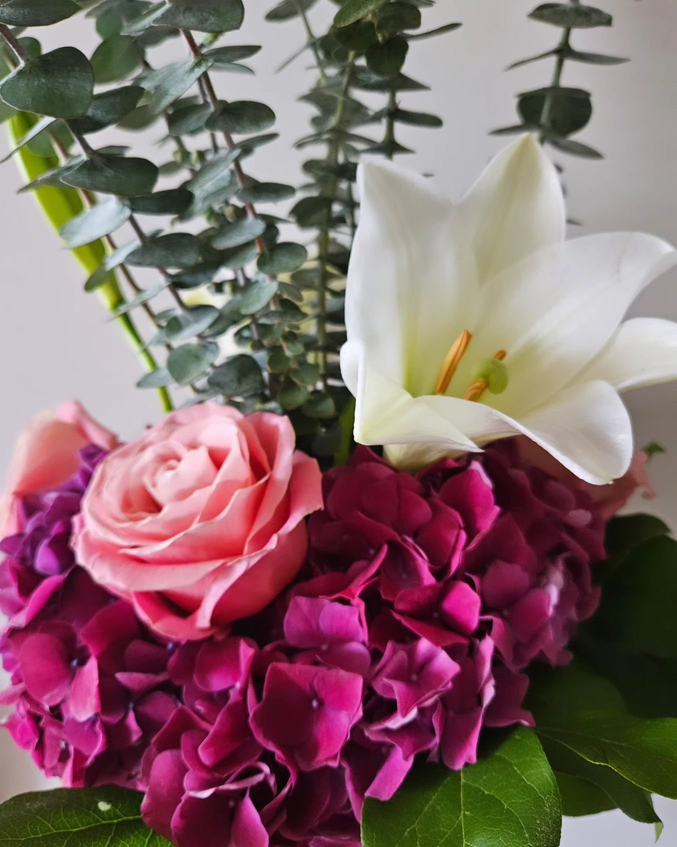 The Designer's Choice bouquets are wild and fun this week! 

Shop online for free next day delivery. Glass vase and gift wrapping included. 

Create a custom bouquet with the florist on Fridays in Williamsburg.