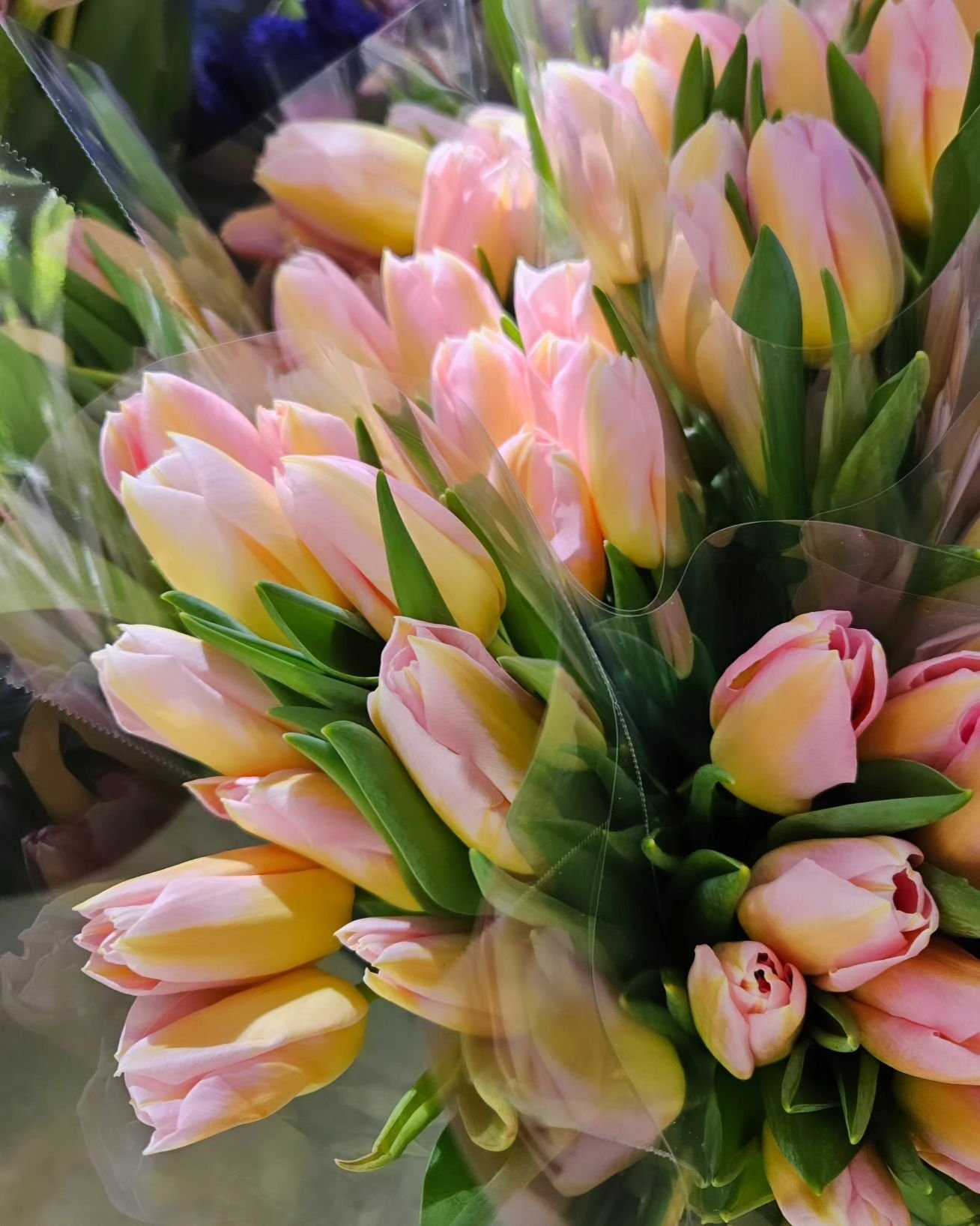 Pretty pink tulips 🌷 

Don't forget Mother's Day! Place your order today - delivery, glass vase, and gift wrapping, all included ✨️