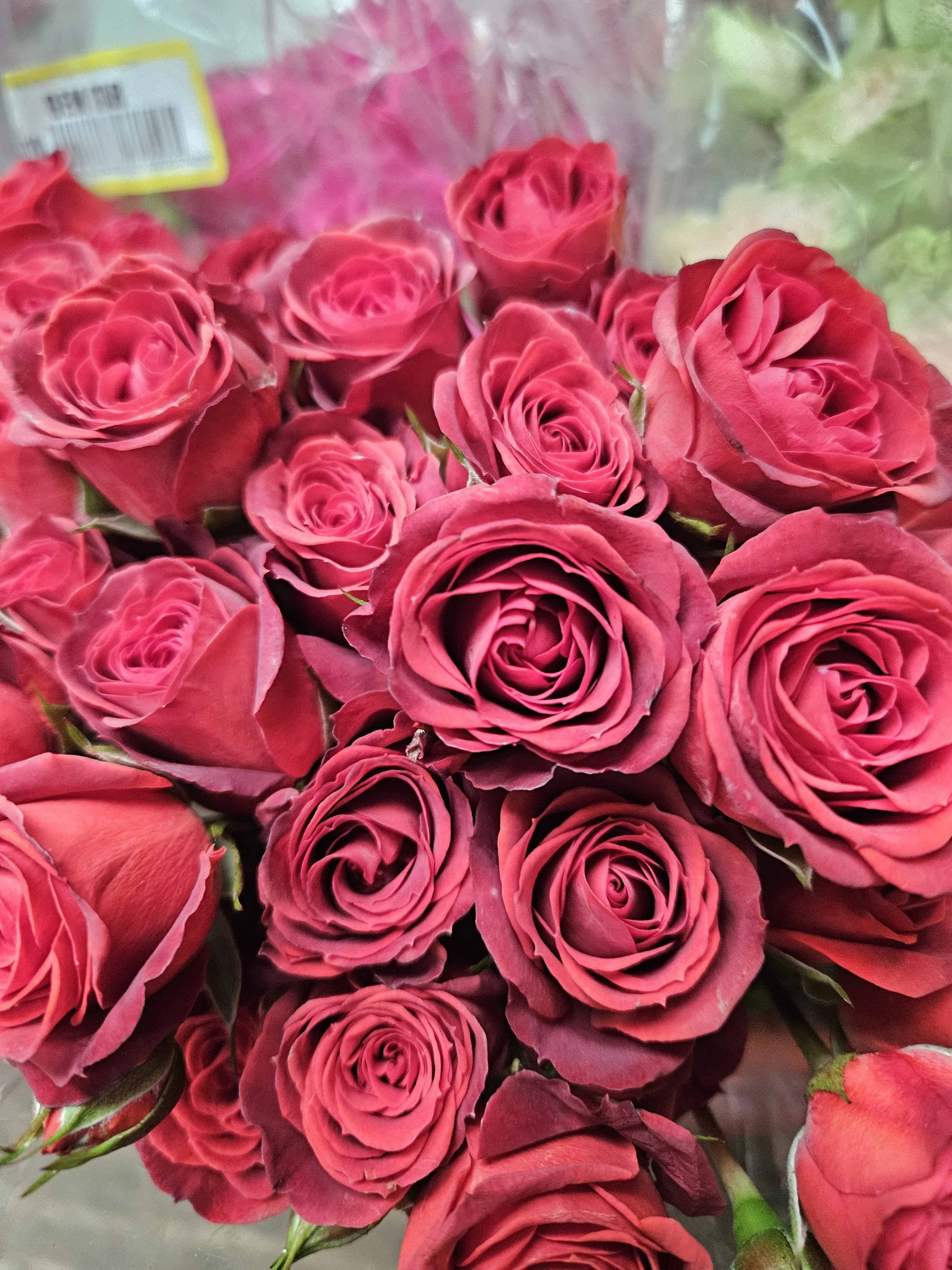 red spray roses.jpg