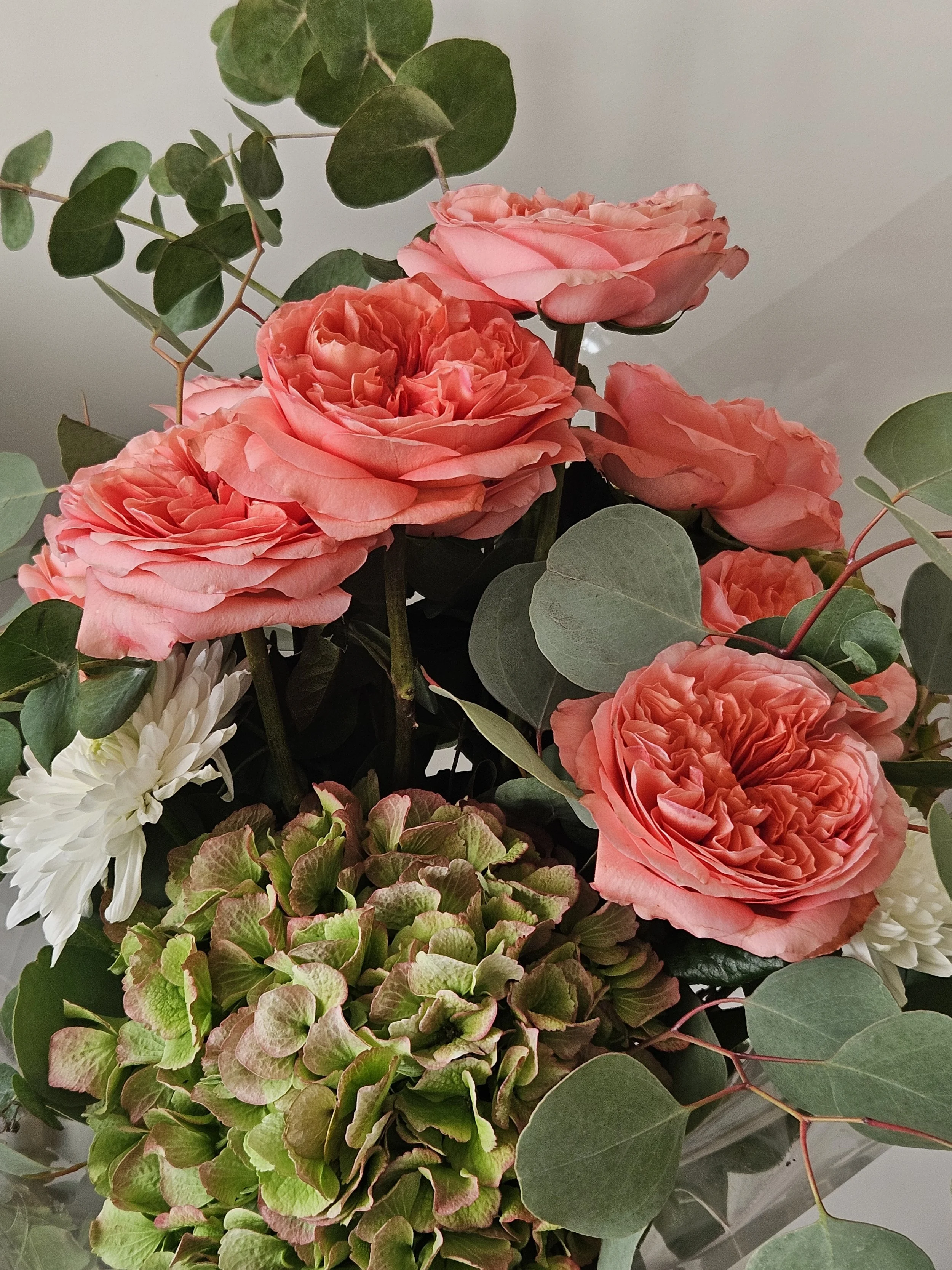 coral garden roses.jpg