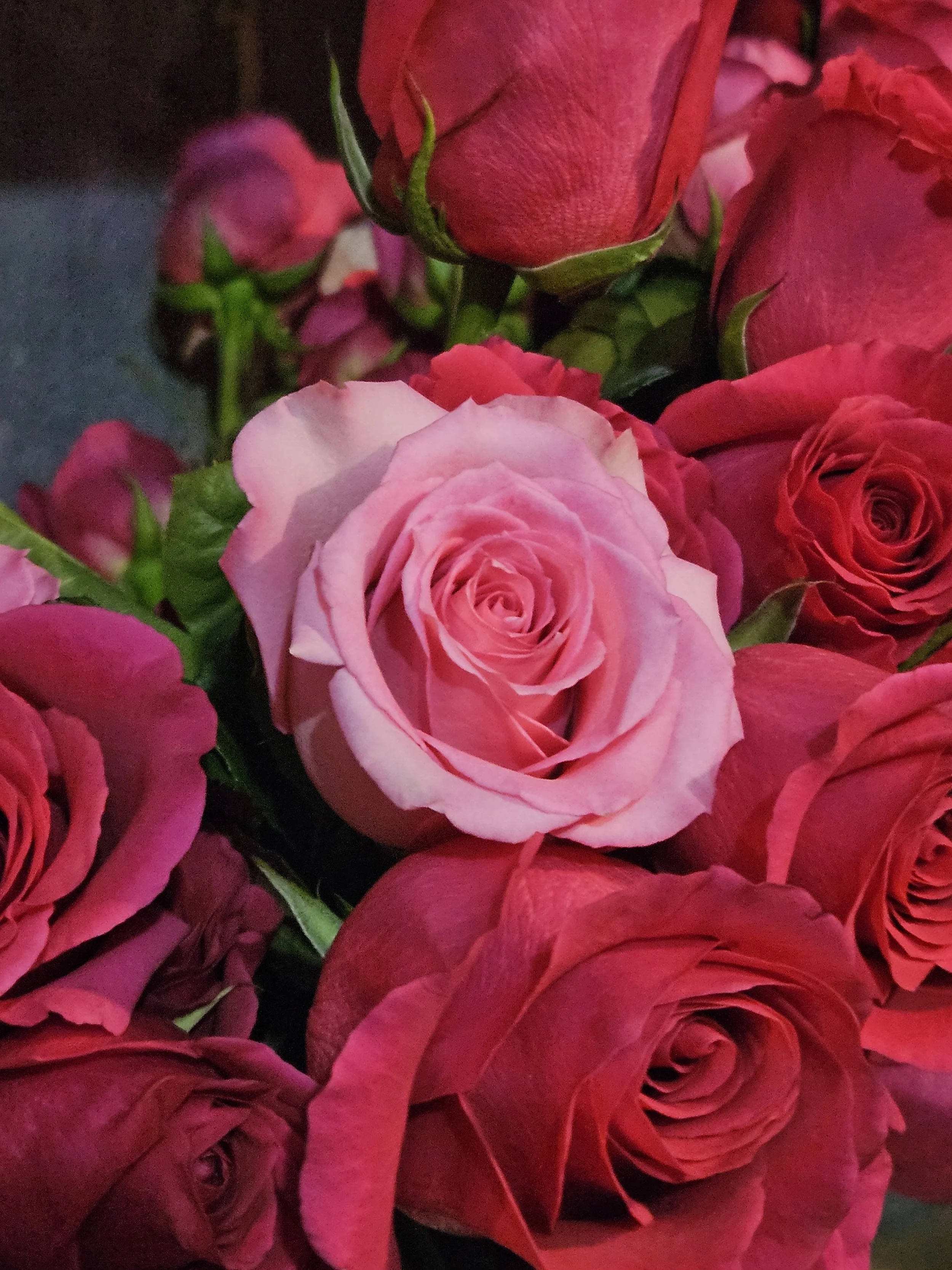 500 Stems – Order 1 week in advance