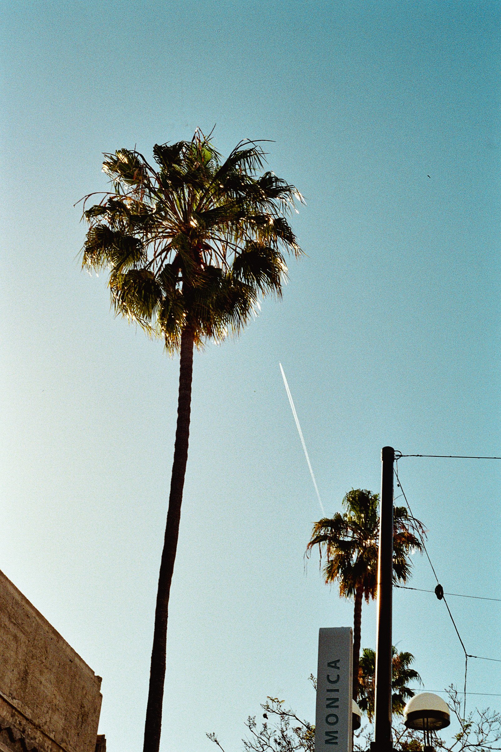5.13.24 - Kodak Proimage 100 Santa Monica (12 of 39).jpeg