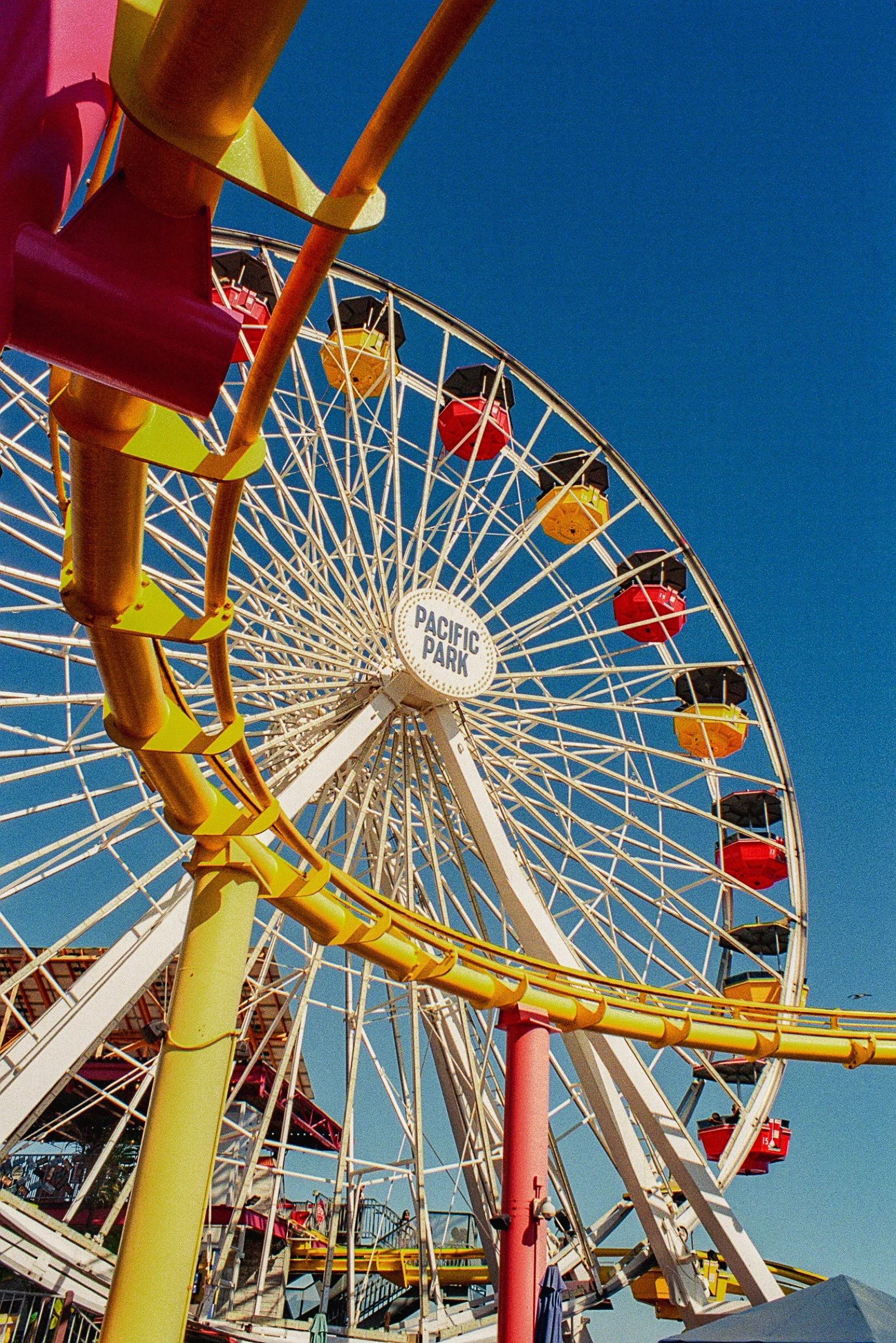 5.15.24 - Fuji 400 Santa Monica (4 of 39).jpeg