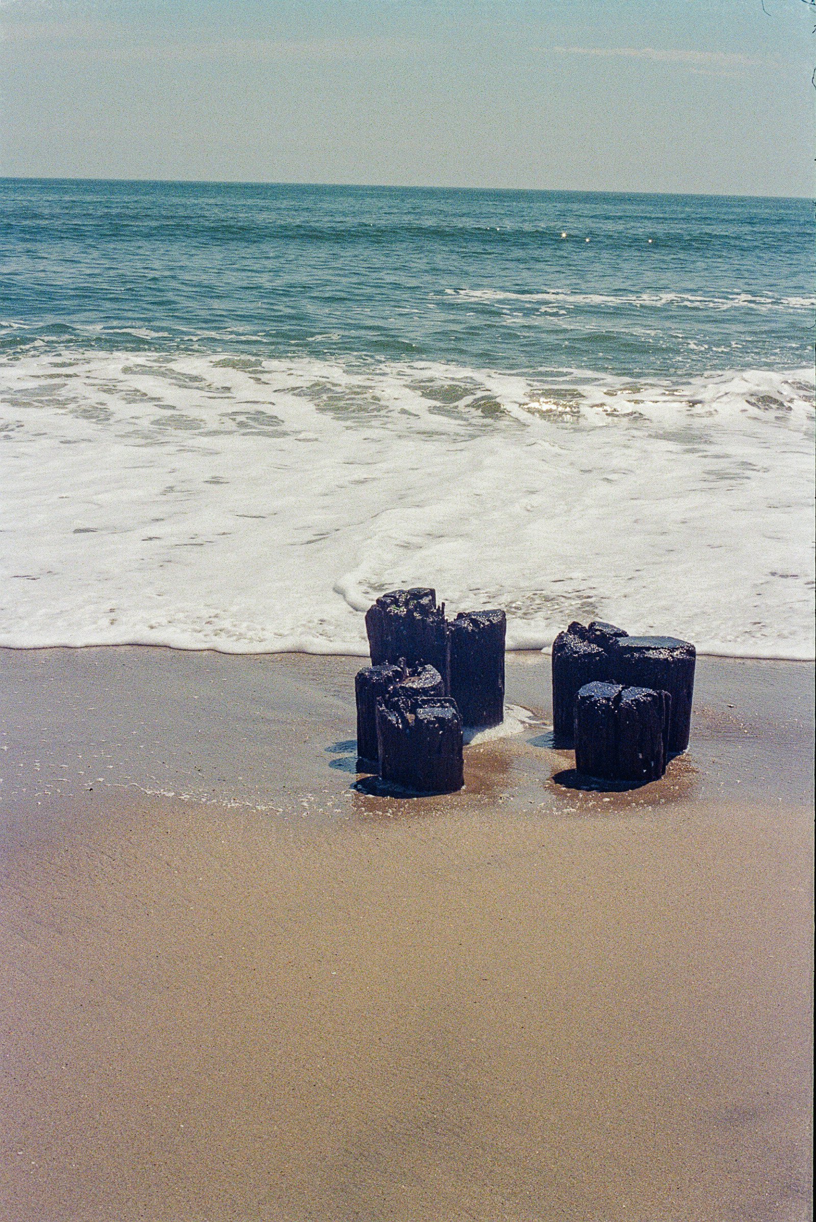5.15.24 - Kodak Ultramax Brooklyn and Atlanta (35 of 38).jpeg