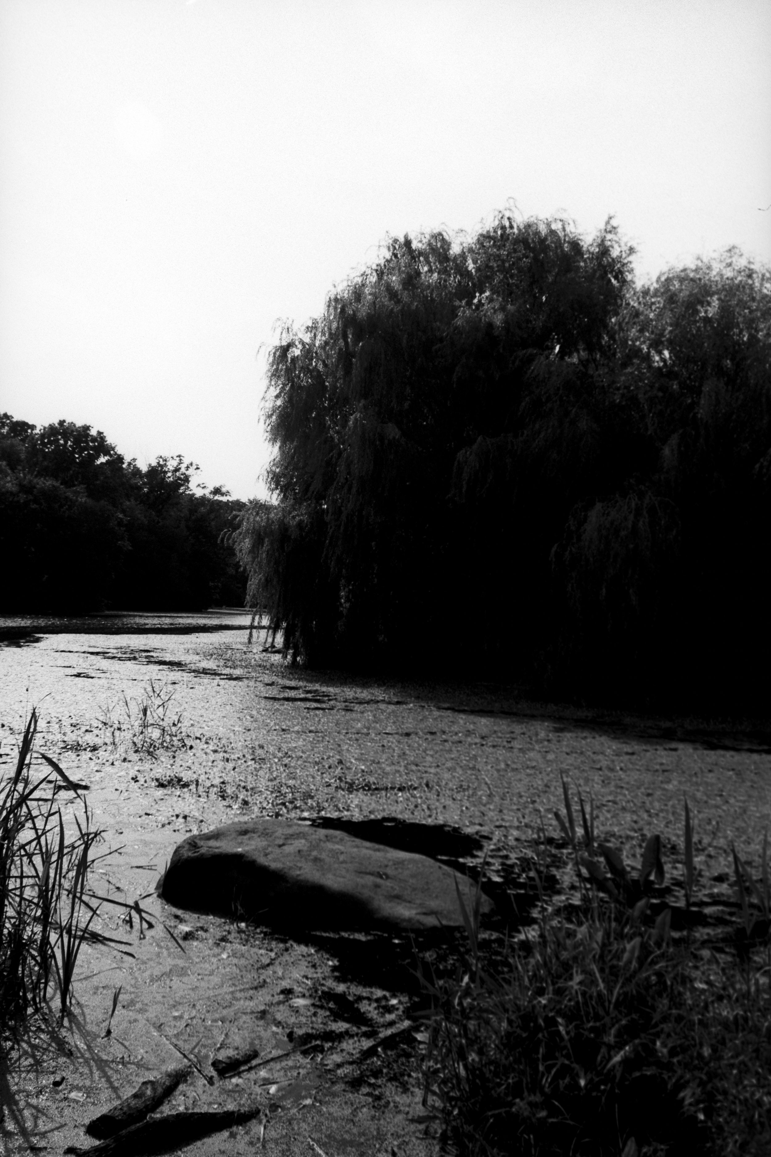 081524 - ROLLEI INFRARED PENTAX K1000 (35 of 37).jpeg
