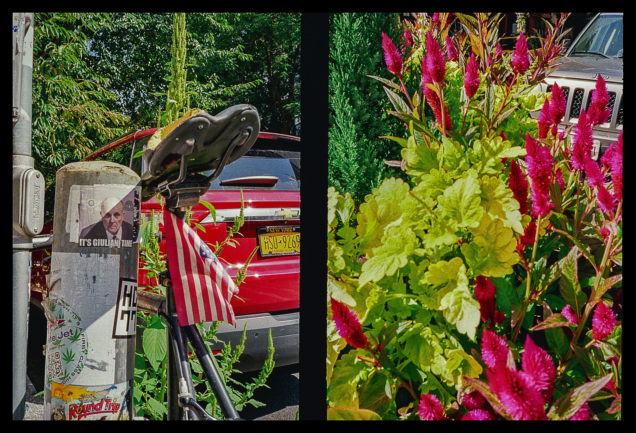 09.13.24 - Colorplus Pentax 17 DIPTYCHS (28 of 34).jpeg