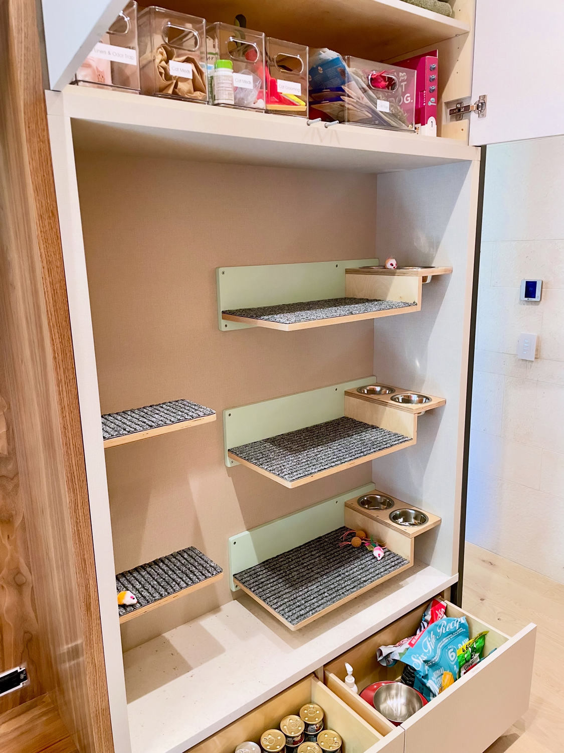 Organized Cat Feeding Station.png