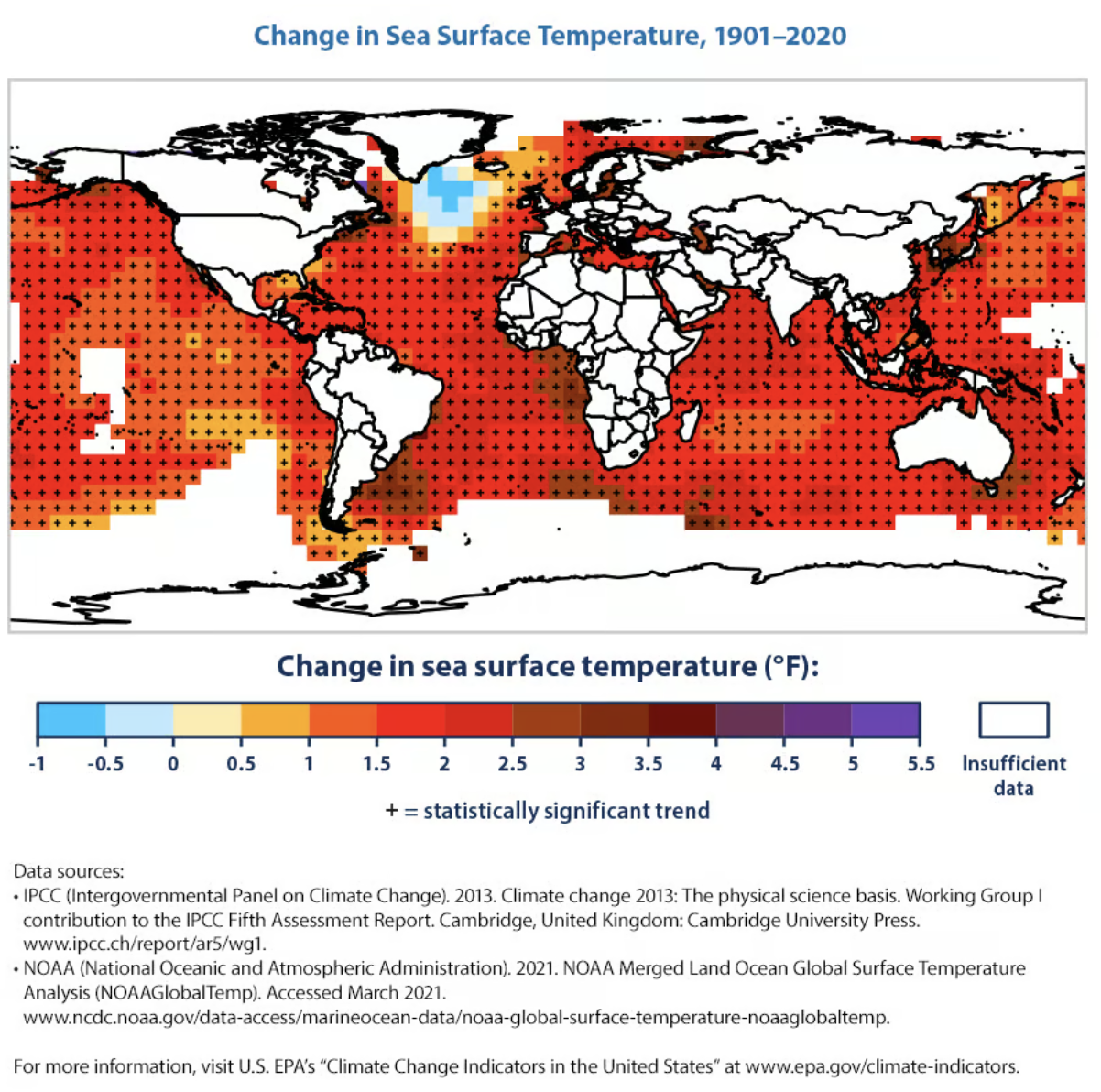 The CDC's Shellfish Warning — Mo News
