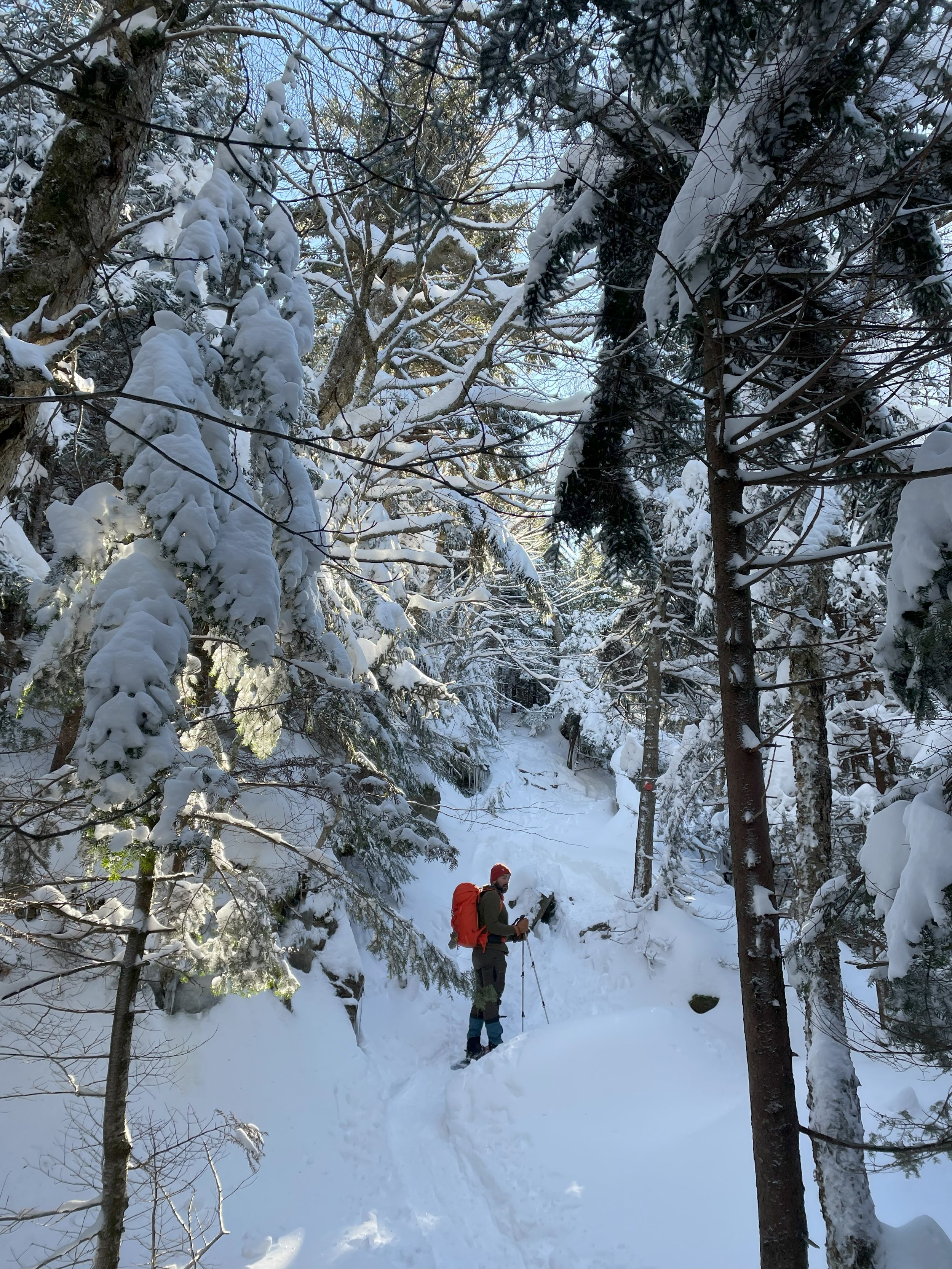 Bonus Snowshoe Hike 12.21.22 copy.jpg